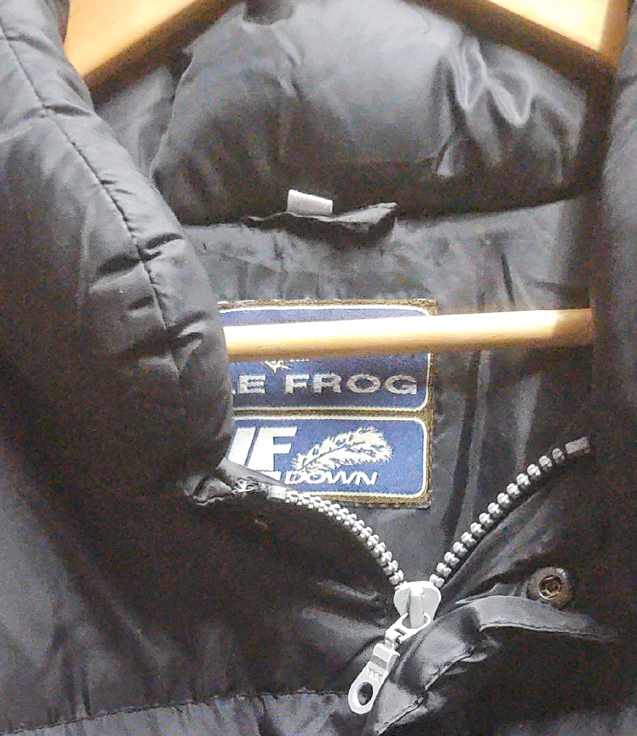 Blue Frog Down Jacket thumbnail