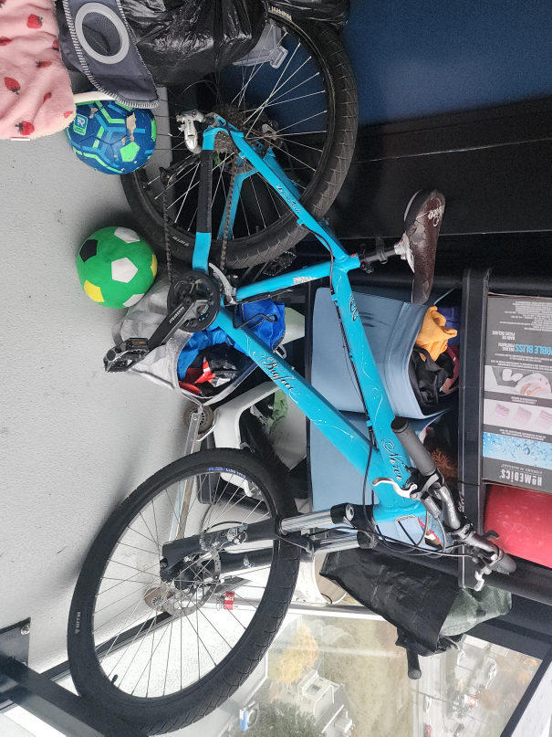 Blue Norco "Bigfoot" Mountain Bike