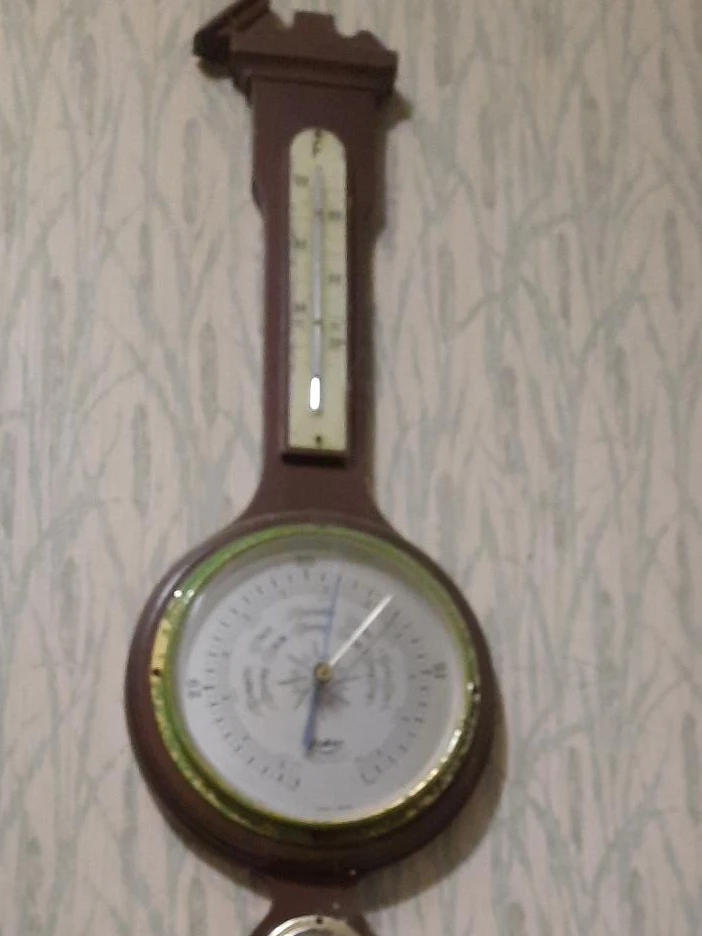 Vintage Barometer and Thermometer Wall Decor
