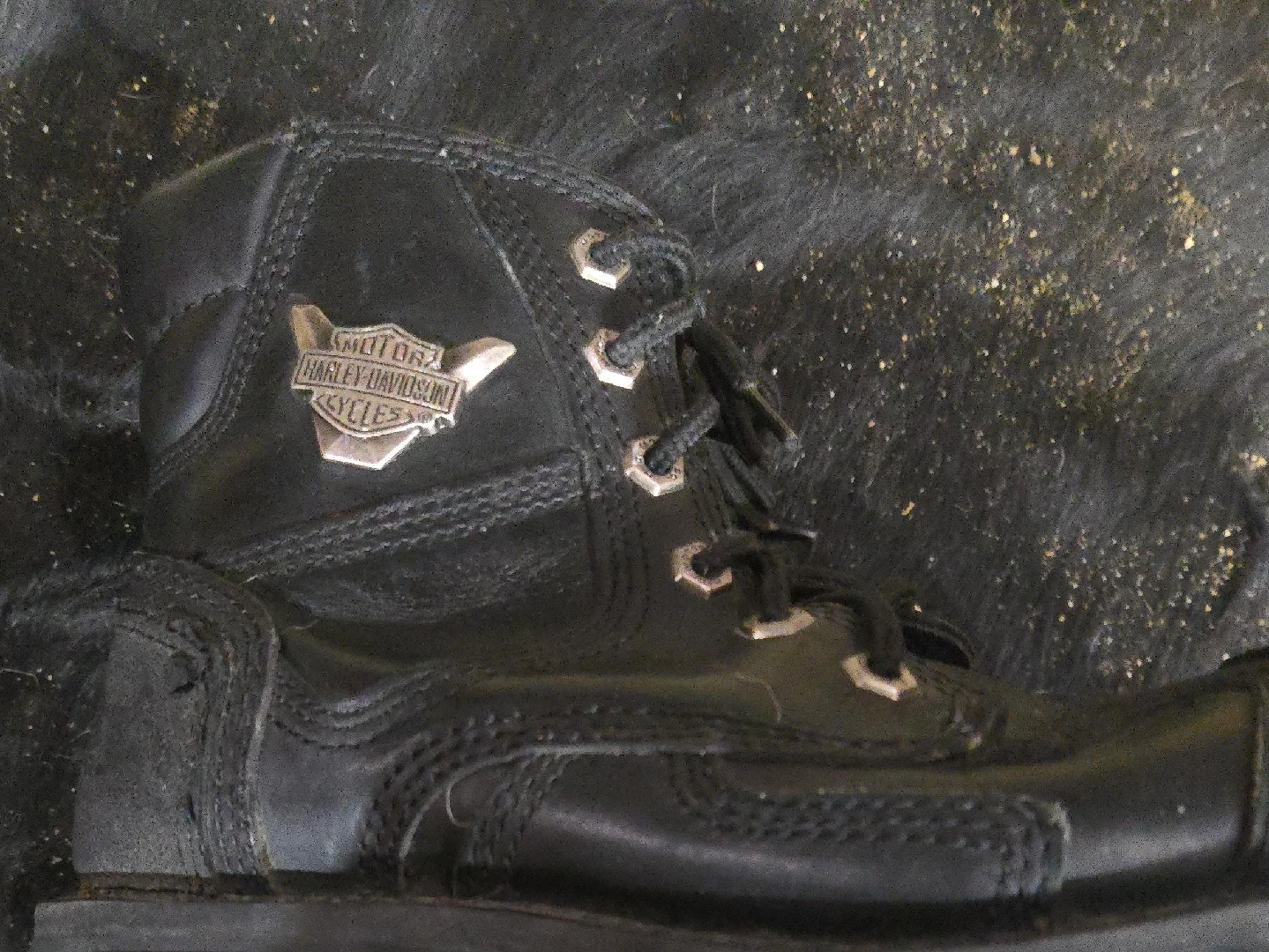 Harley-Davidson Black Leather Boots image indicator(1)