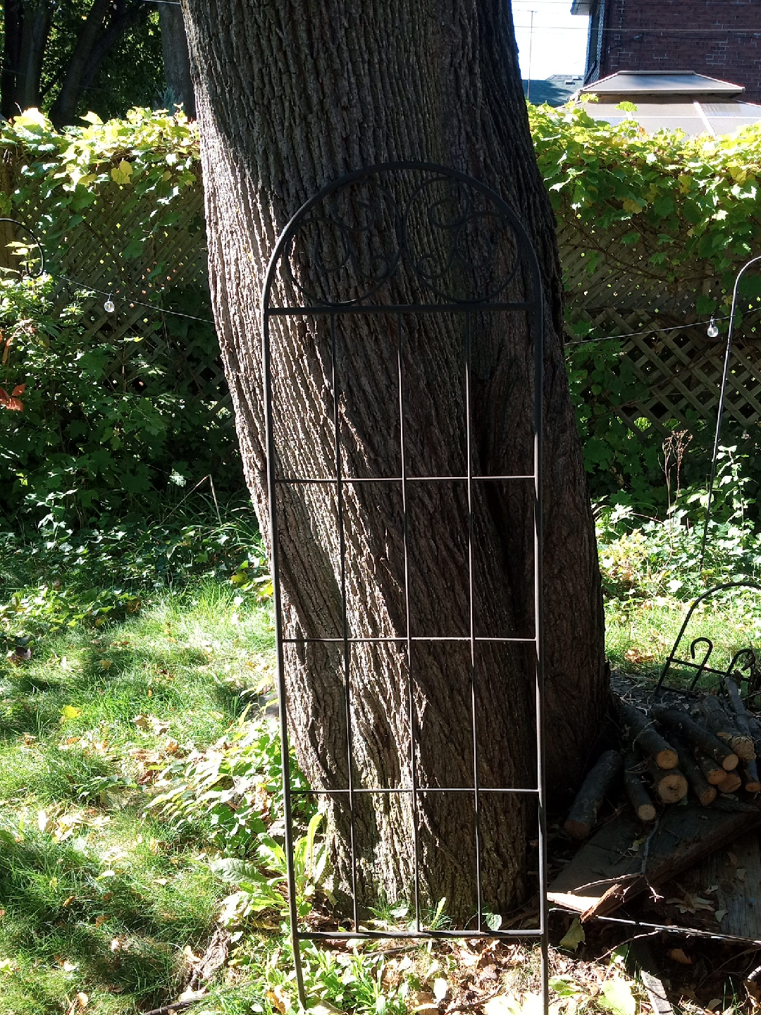 Metal Garden Trellis thumbnail