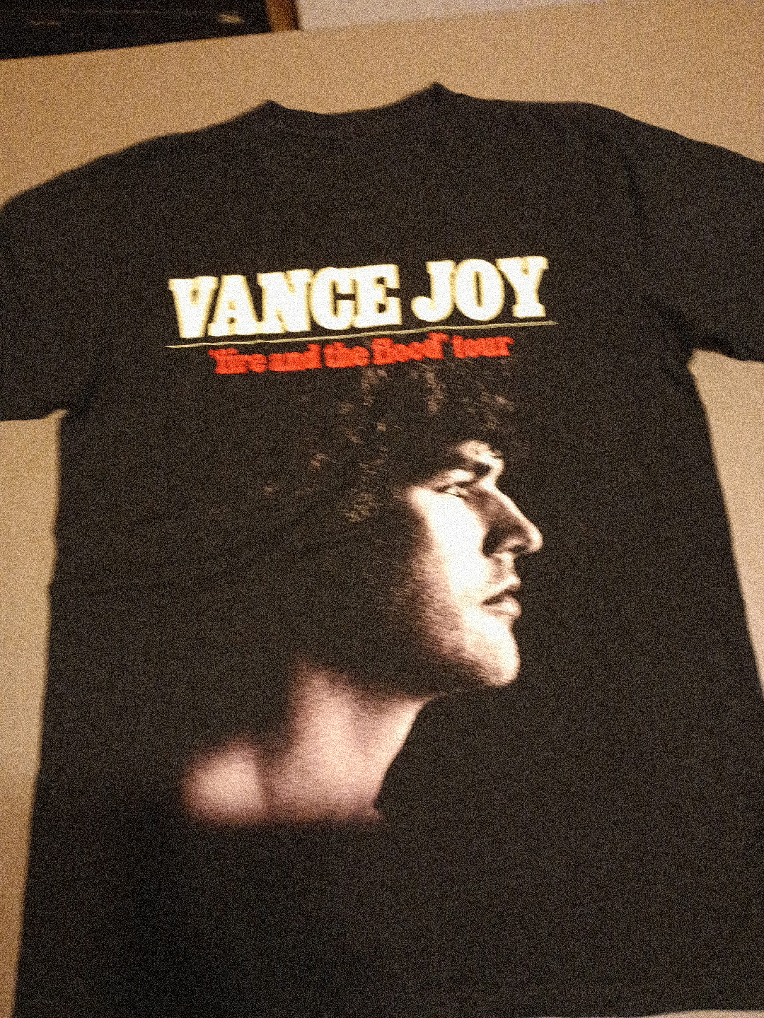Vance Joy 'Fire and the Flood' Tour T-Shirt thumbnail
