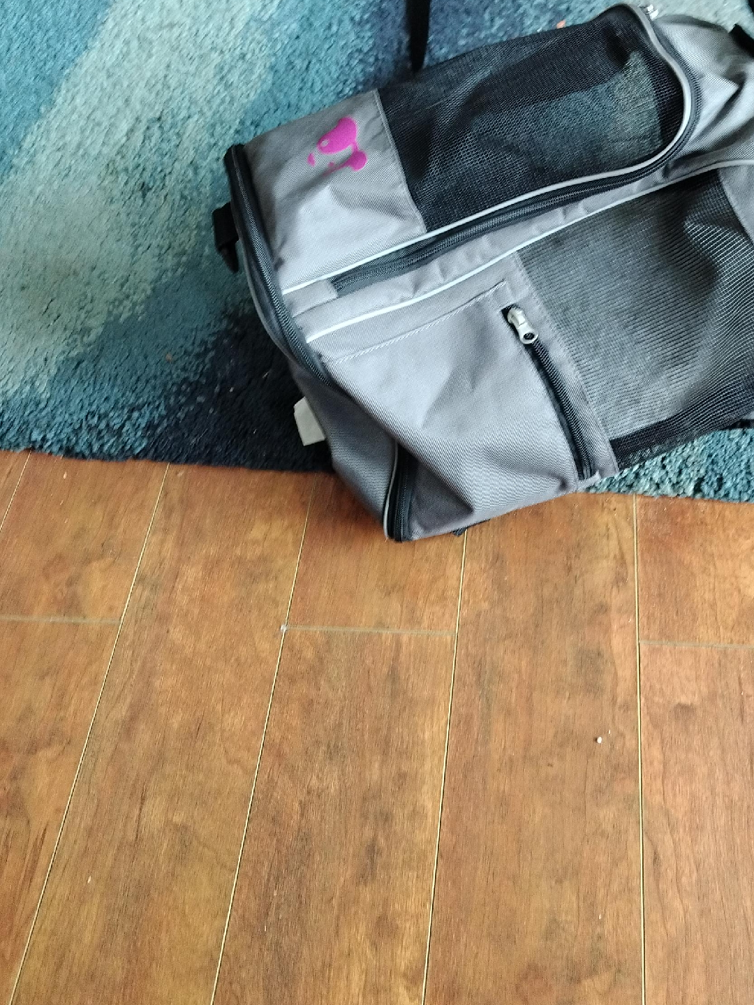 Grey Pet Carrier with Mesh Windows thumbnail