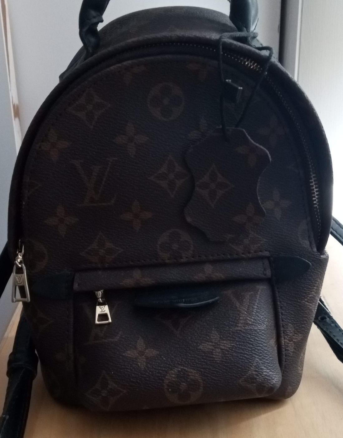 Louis Vuitton Palm Springs Mini Backpack