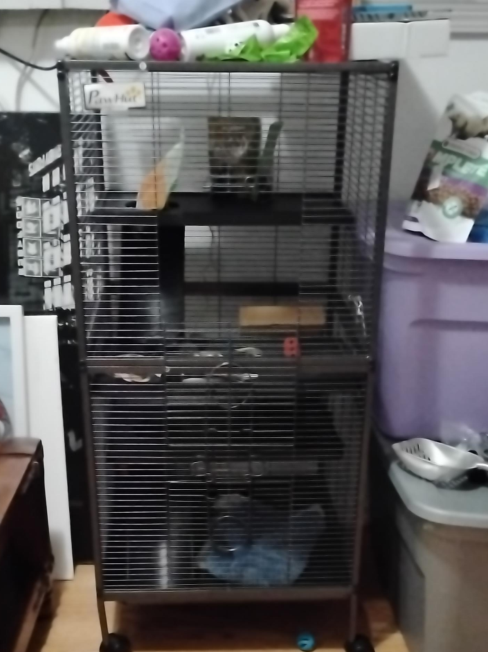Prevue Pet Rat & Chinchilla Cage thumbnail