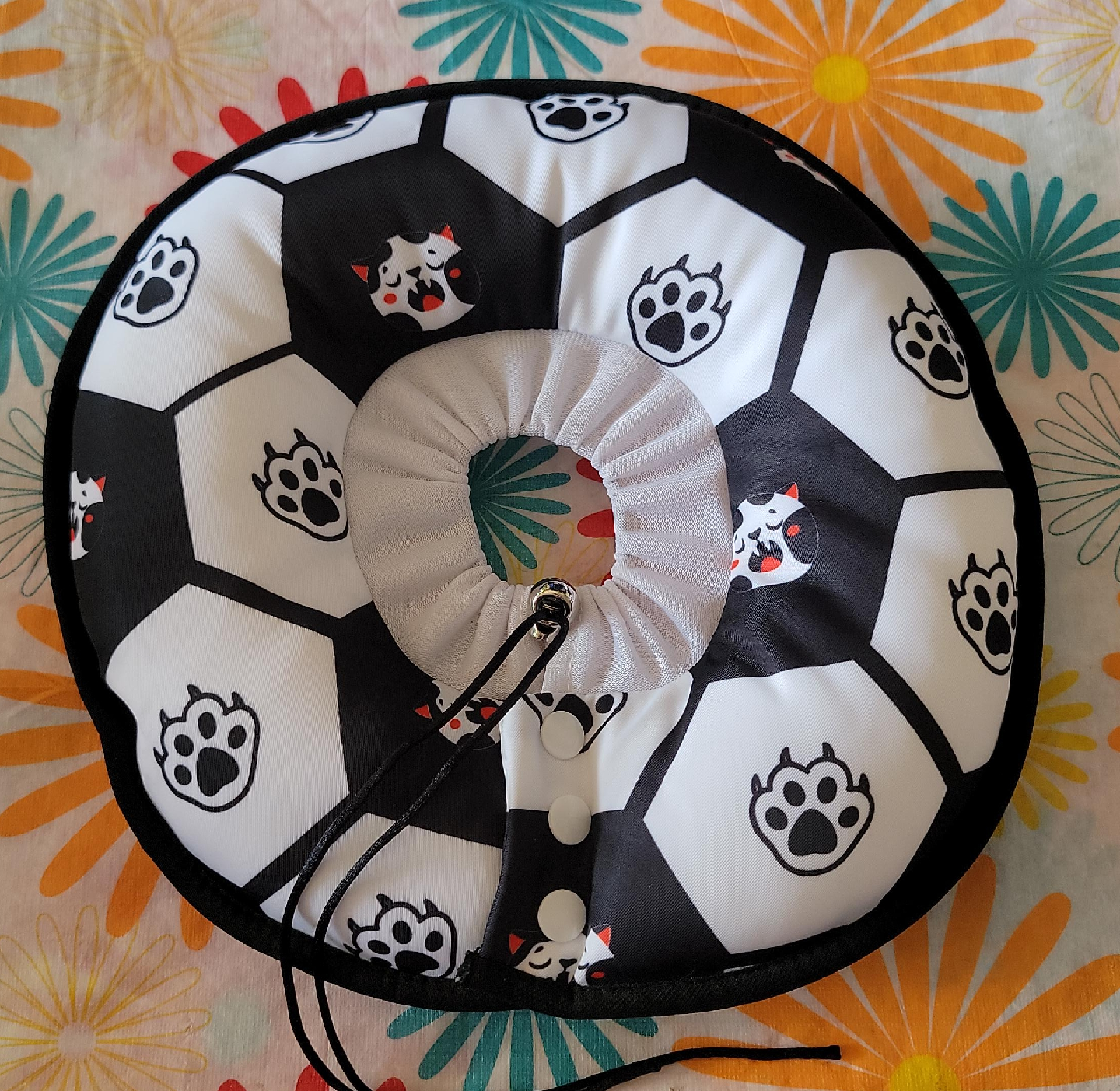 Pet Recovery Collar - Size Medium thumbnail