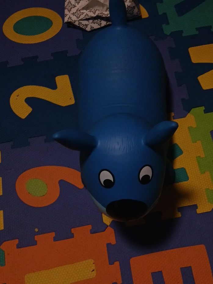 Blue Inflatable Animal Hopper Toy thumbnail