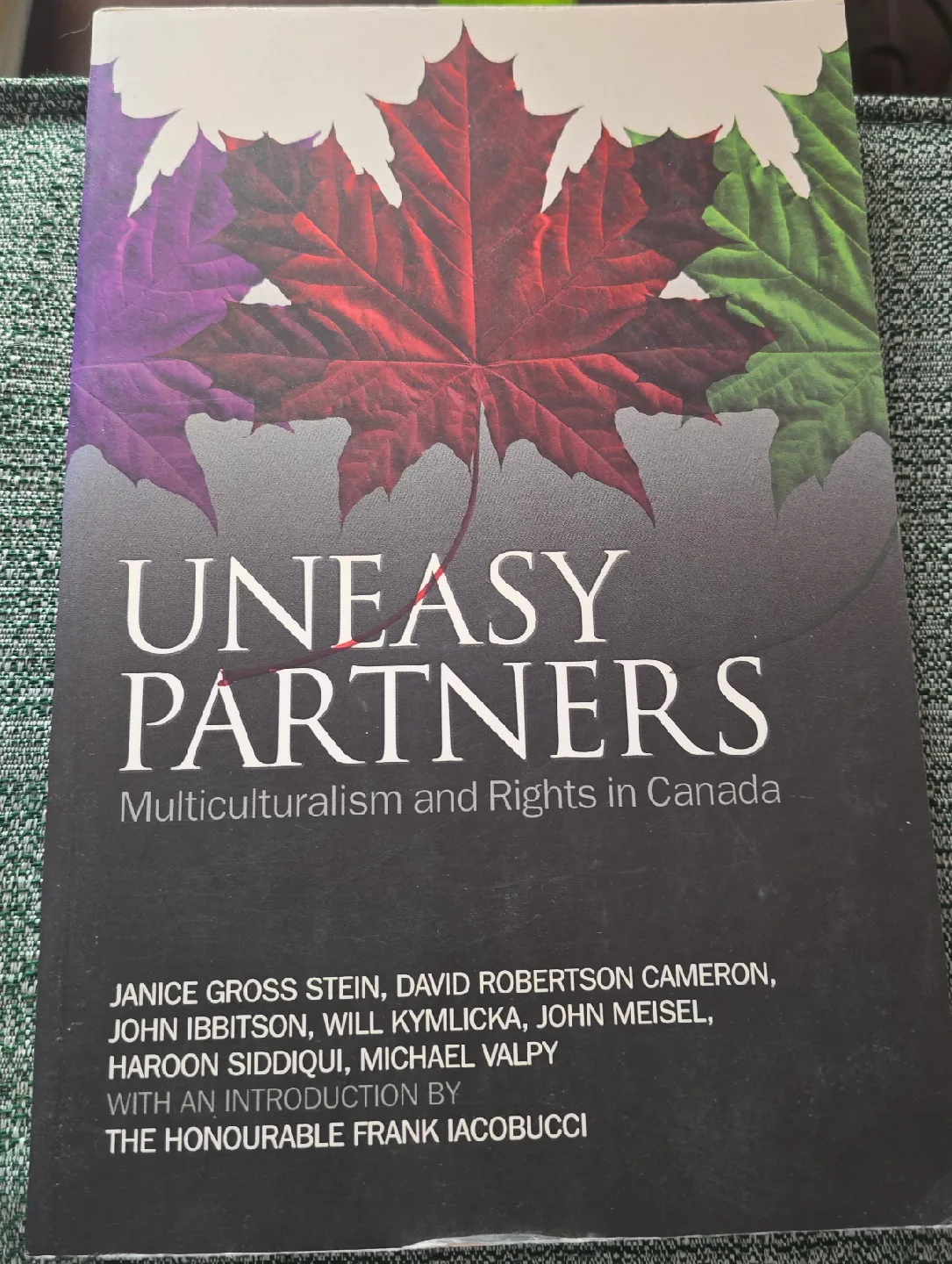Uneasy Partners: Multiculturalism and Rights in Canada