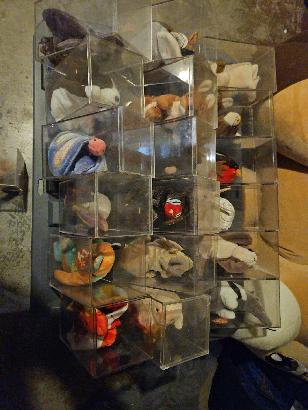 Ty Beanie Babies Collection thumbnail