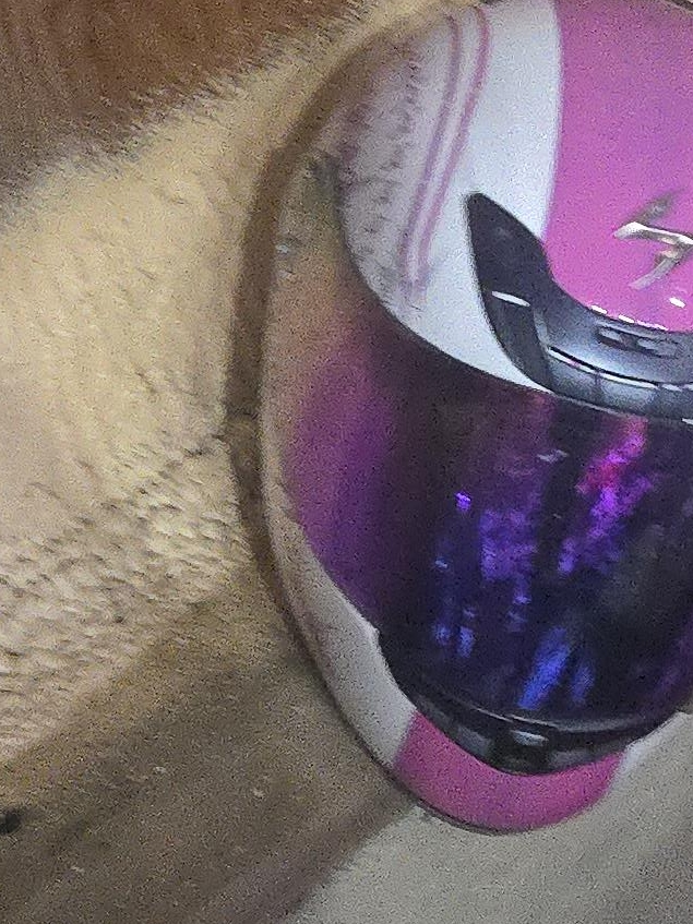 Scorpion EXO-R420 Helmet - Pink/White thumbnail