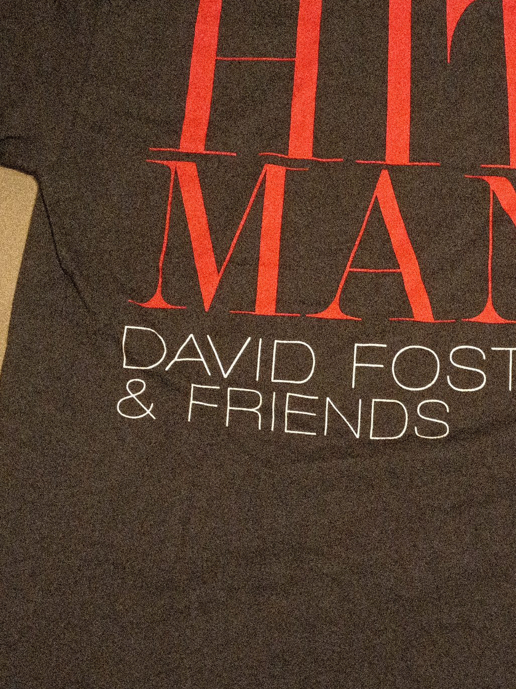 Hanes David Foster & Friends T-Shirt thumbnail