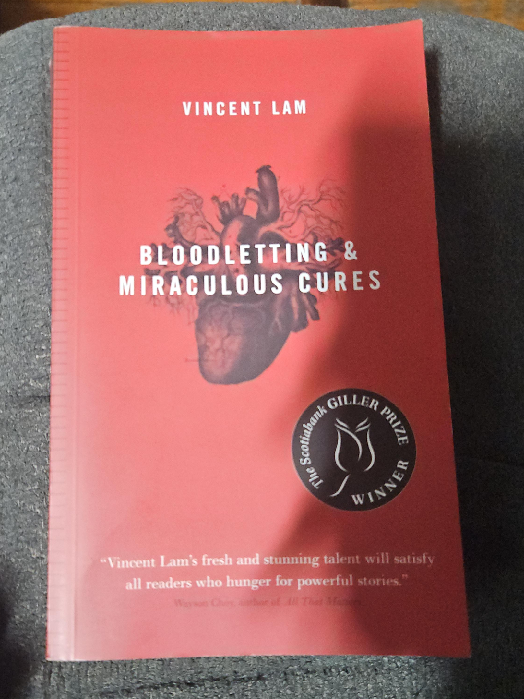 Bloodletting & Miraculous Cures by Vincent Lam thumbnail