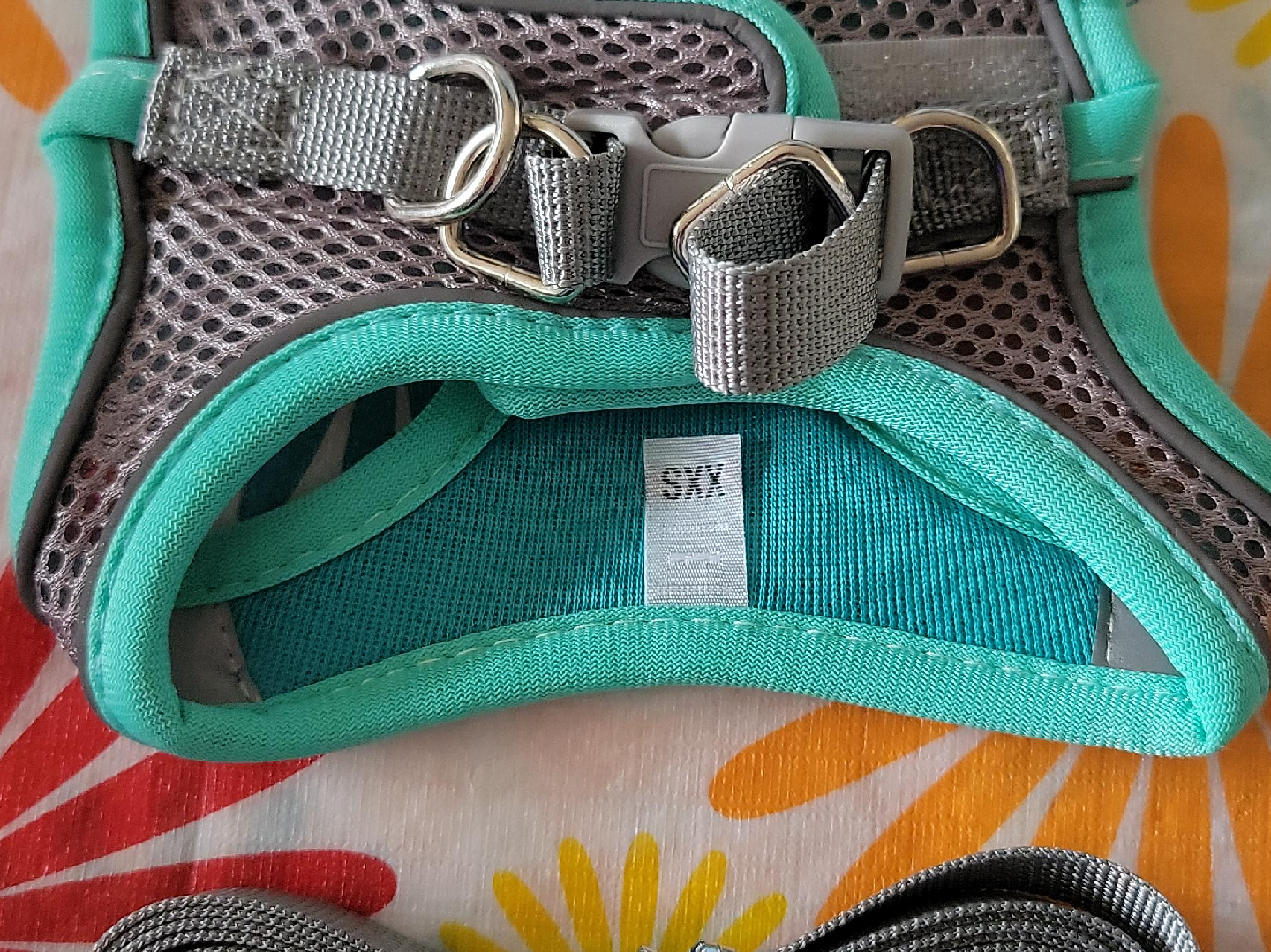 New - Harness and Leash image indicator(2)