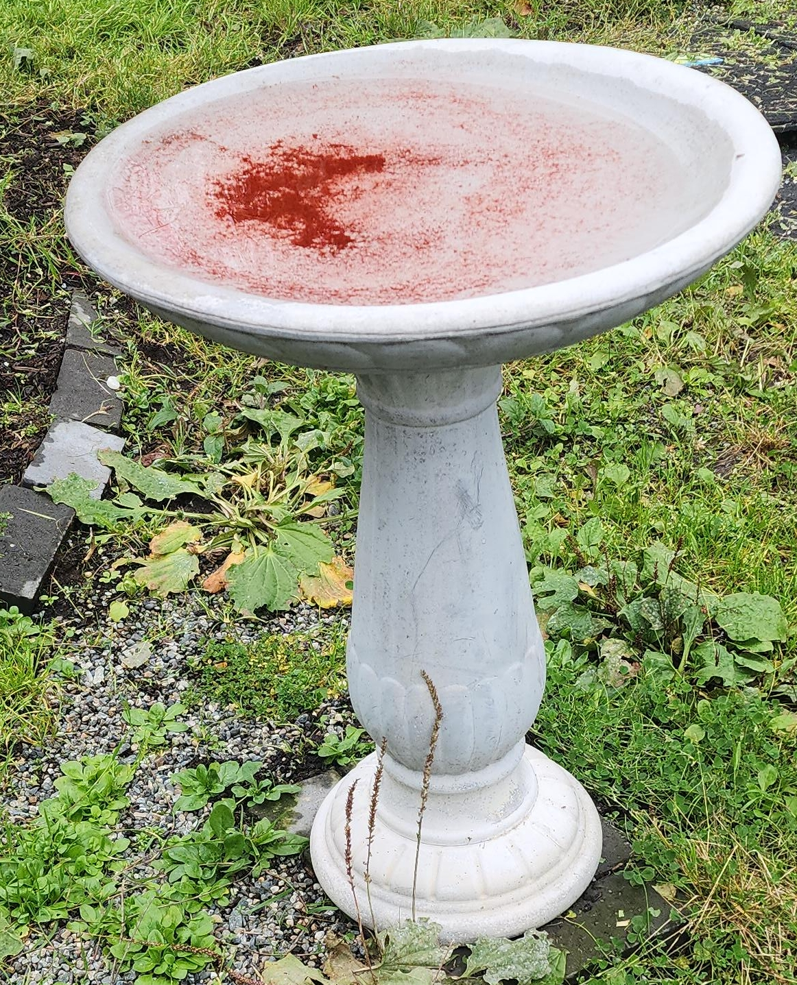 Bird Bath thumbnail