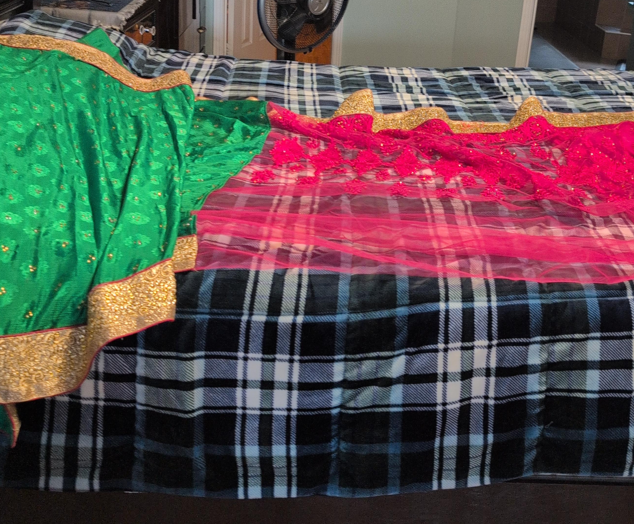 Green & Pink Sari with Gold Trim