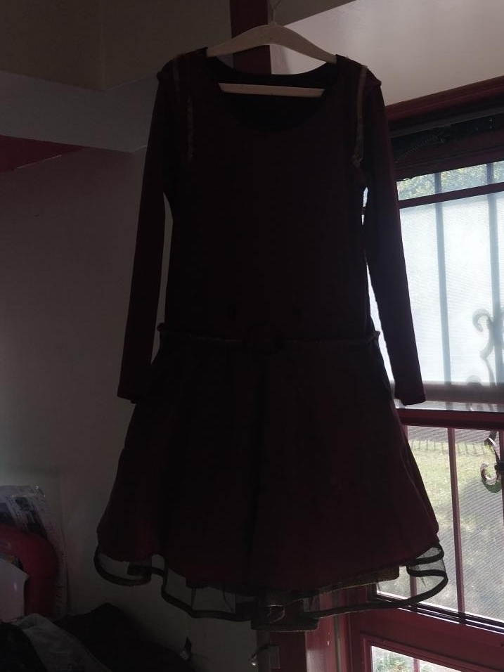 Burgundy Long Sleeve Dress