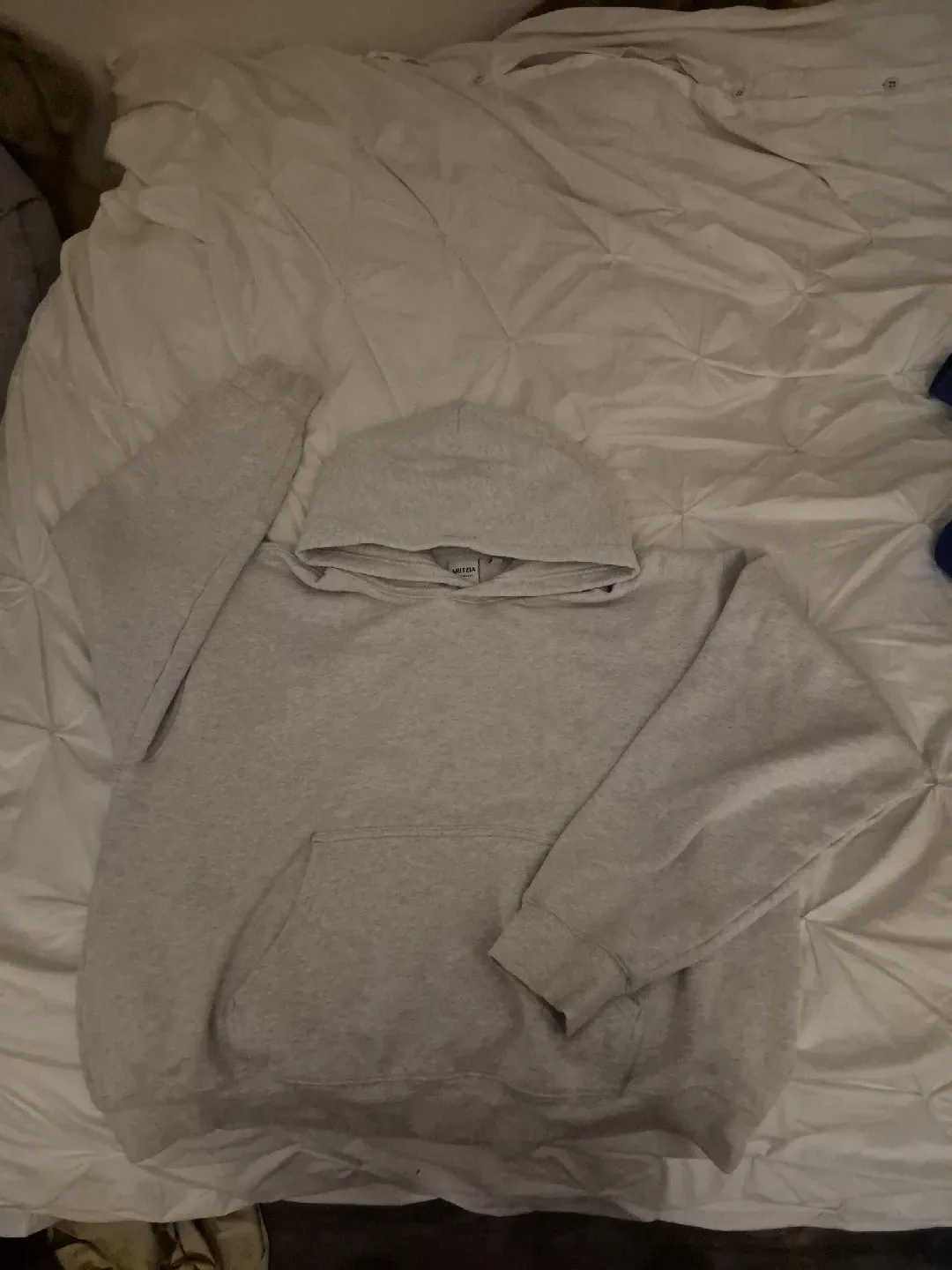 Aritzia Grey Hoodie