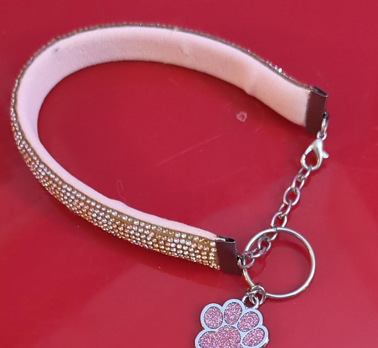 Dog Collar with Rhinestones and Paw Print Charm thumbnail
