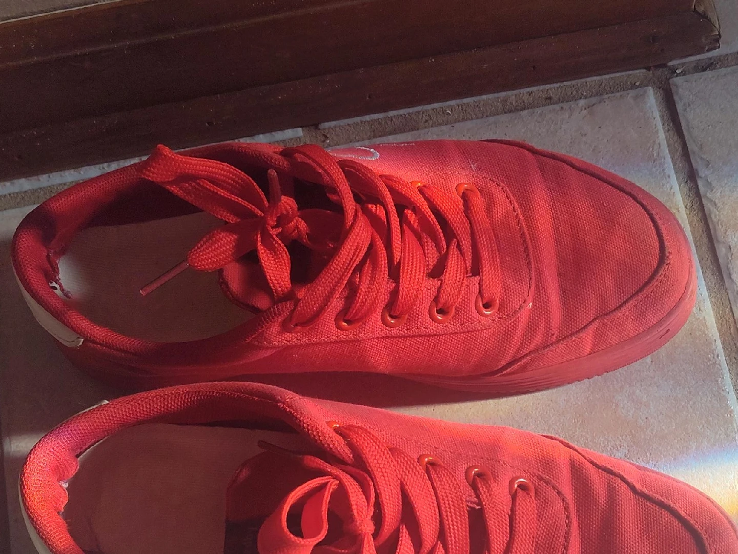Red Canvas Sneakers thumbnail