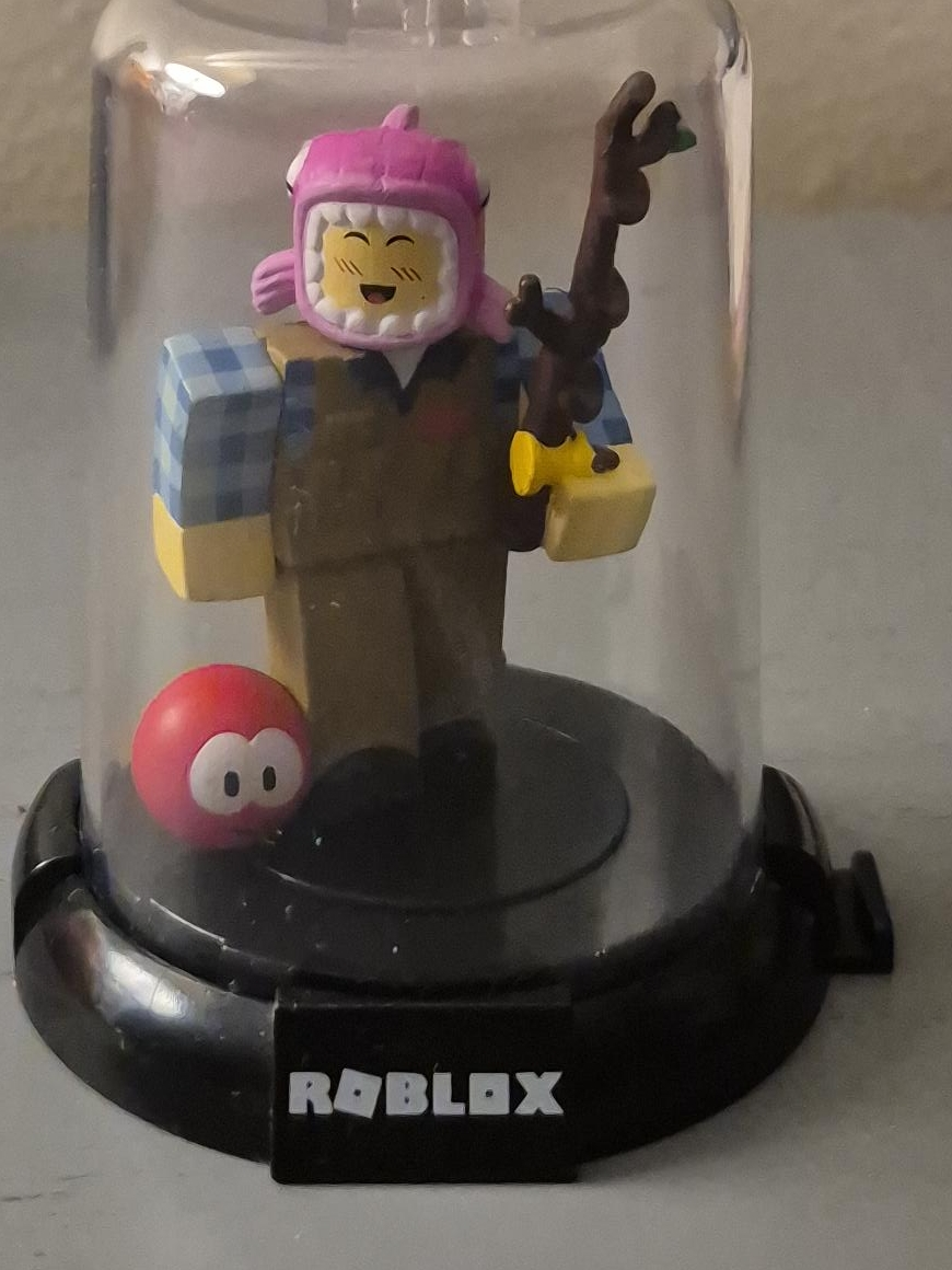 Roblox Figurine in Display Case