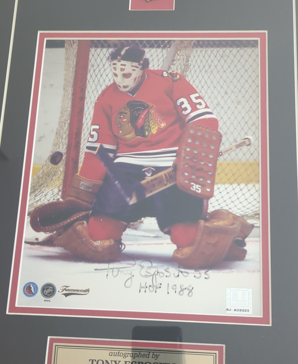 Framed Tony Esposito Autographed Blackhawks Photo image indicator(1)