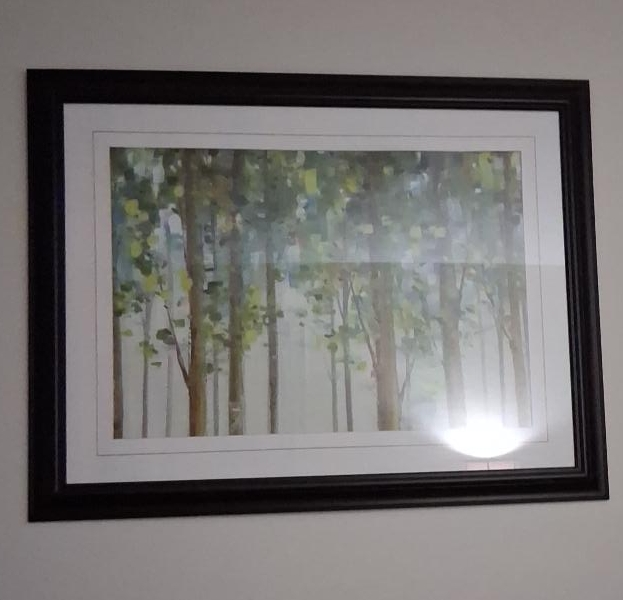 Framed Forest Landscape Art Print