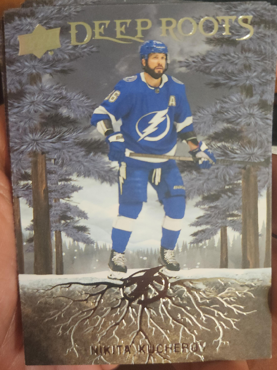 Nikita Kucherov Deep Roots Hockey Card image indicator(1)