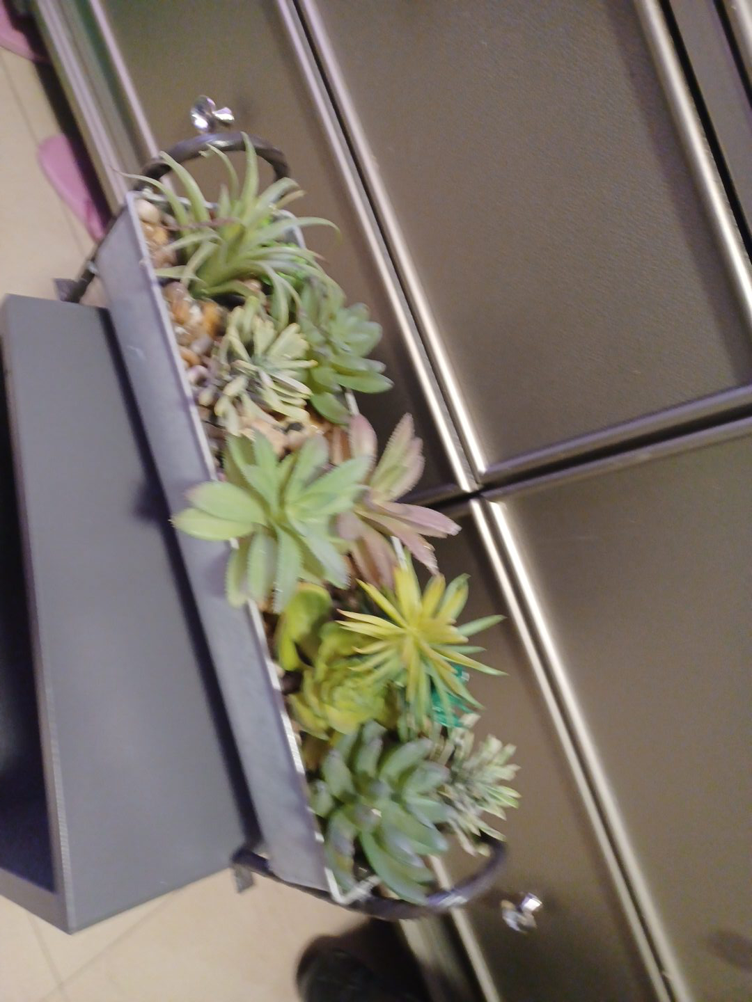 Artificial Succulent Plant Arrangement thumbnail