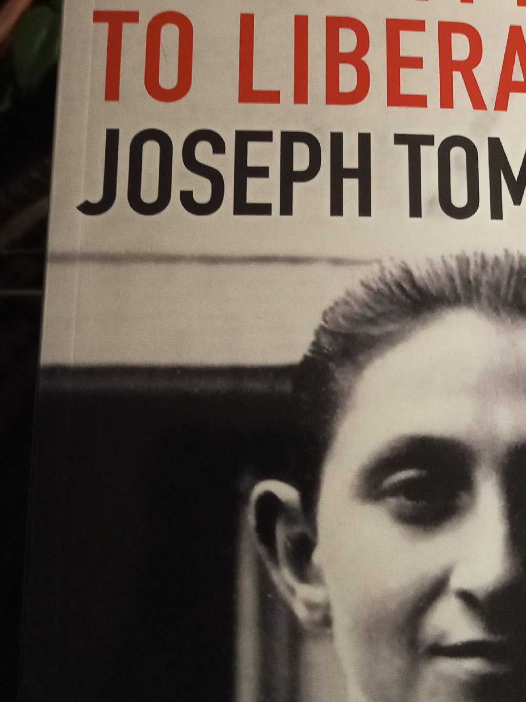 To Liberate Joseph Tomelty Book thumbnail
