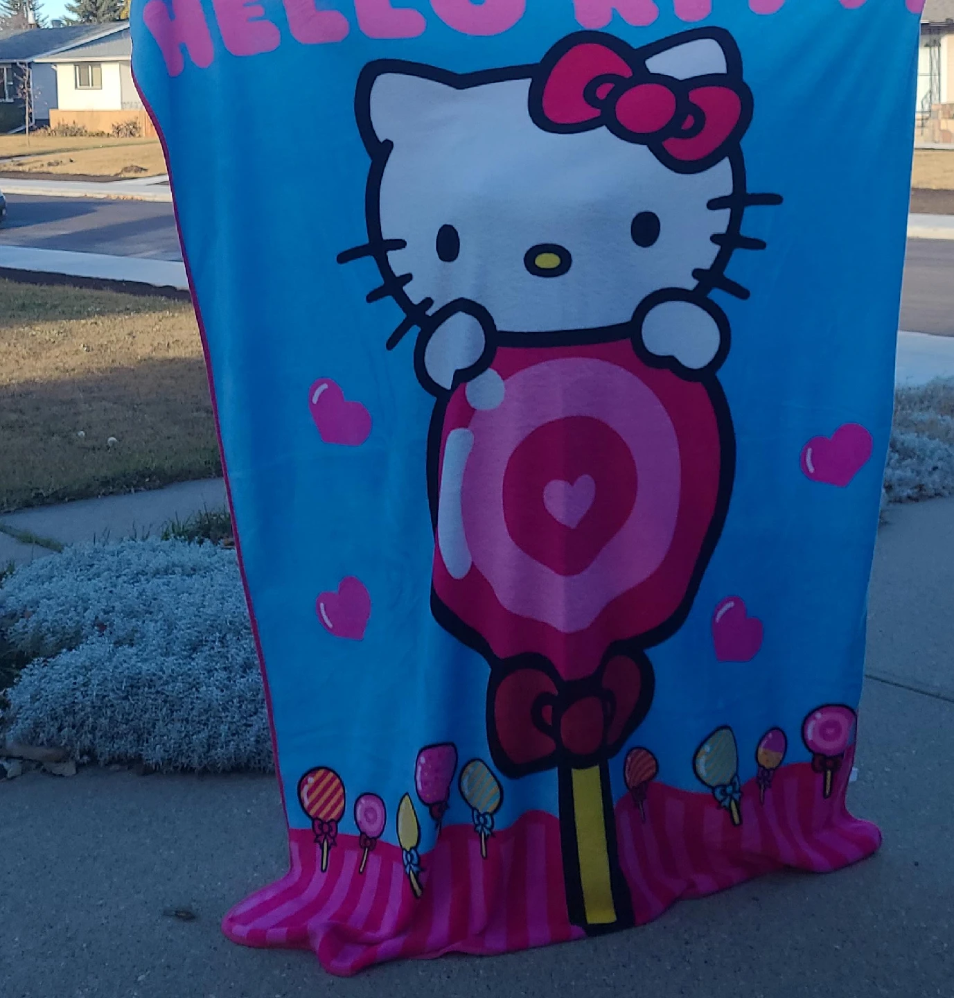 Hello Kitty Throw Blanket thumbnail