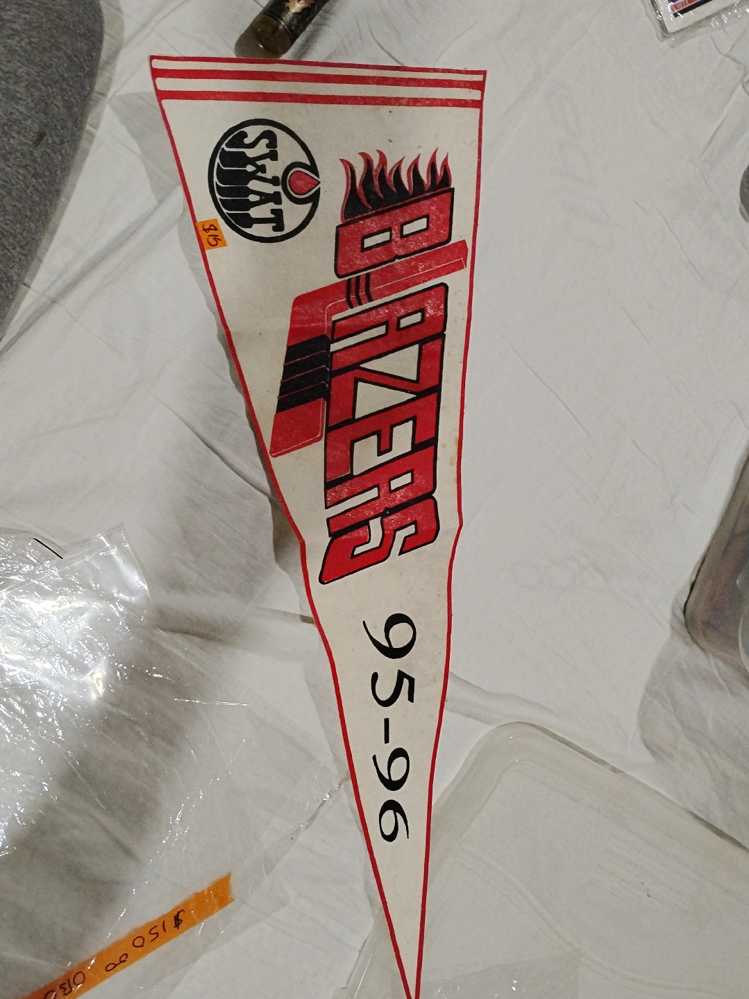 Edmonton Blazers 95-96 thumbnail