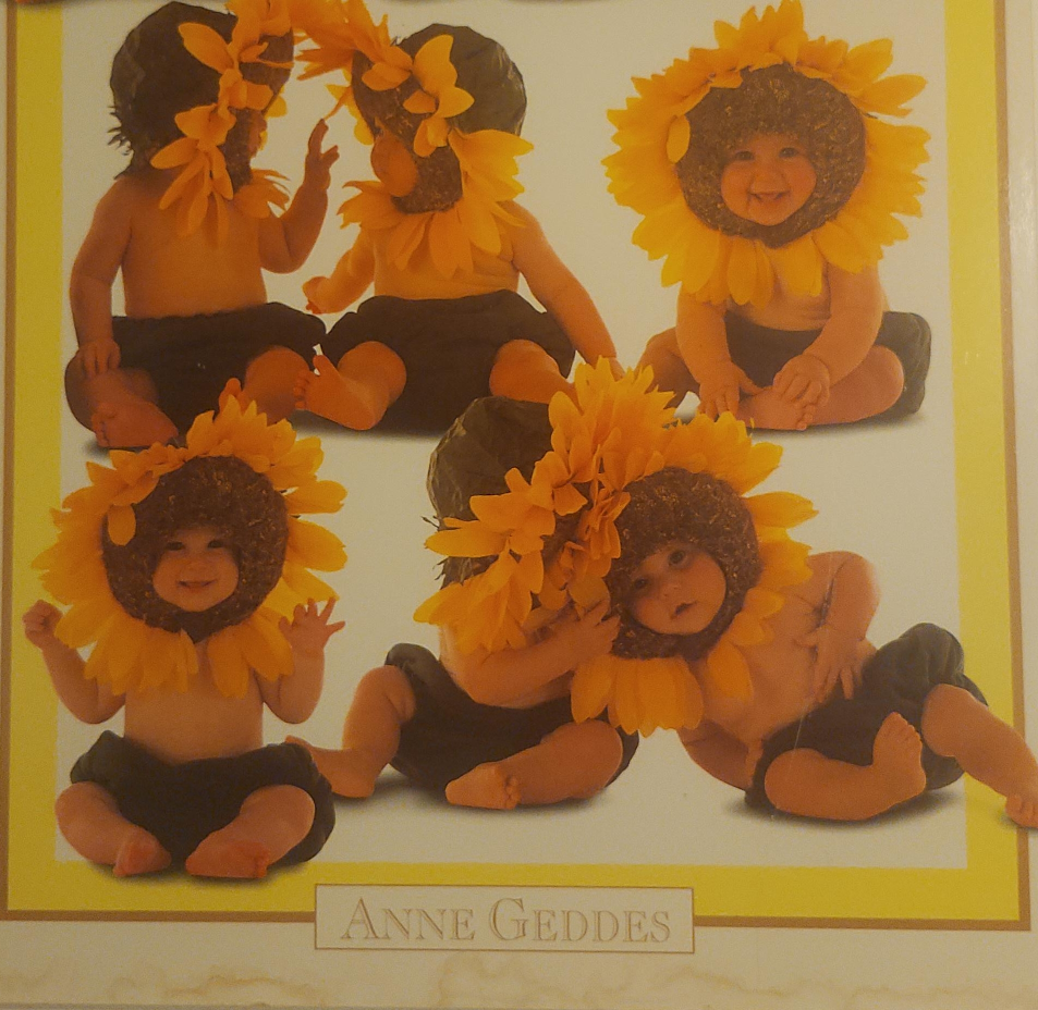 Anne Geddes Babies Sunflower Outfit thumbnail