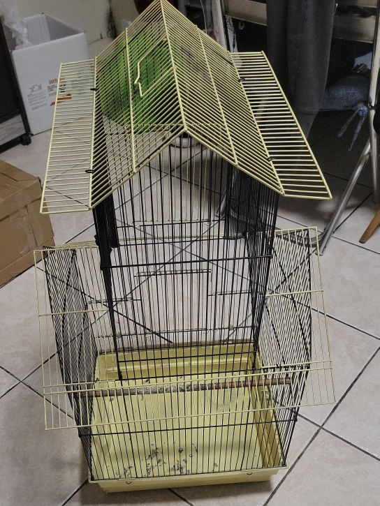 Bird Cage - Black and Yellow thumbnail