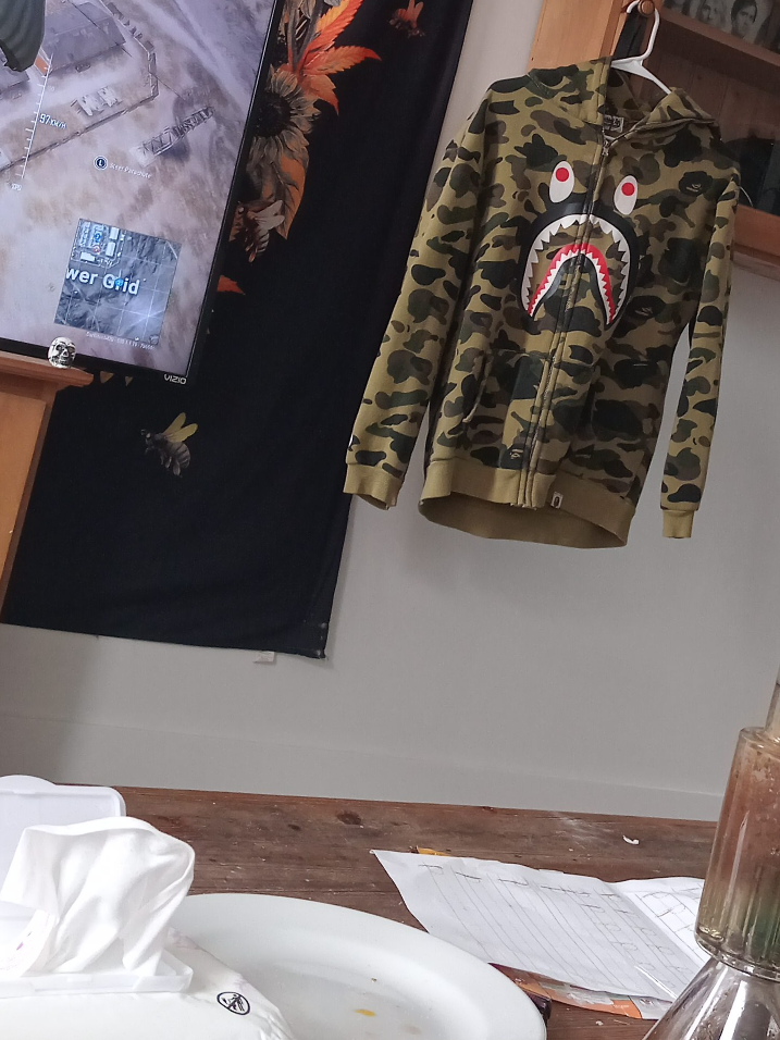 Bathing Ape (BAPE) Camo Shark Hoodie thumbnail