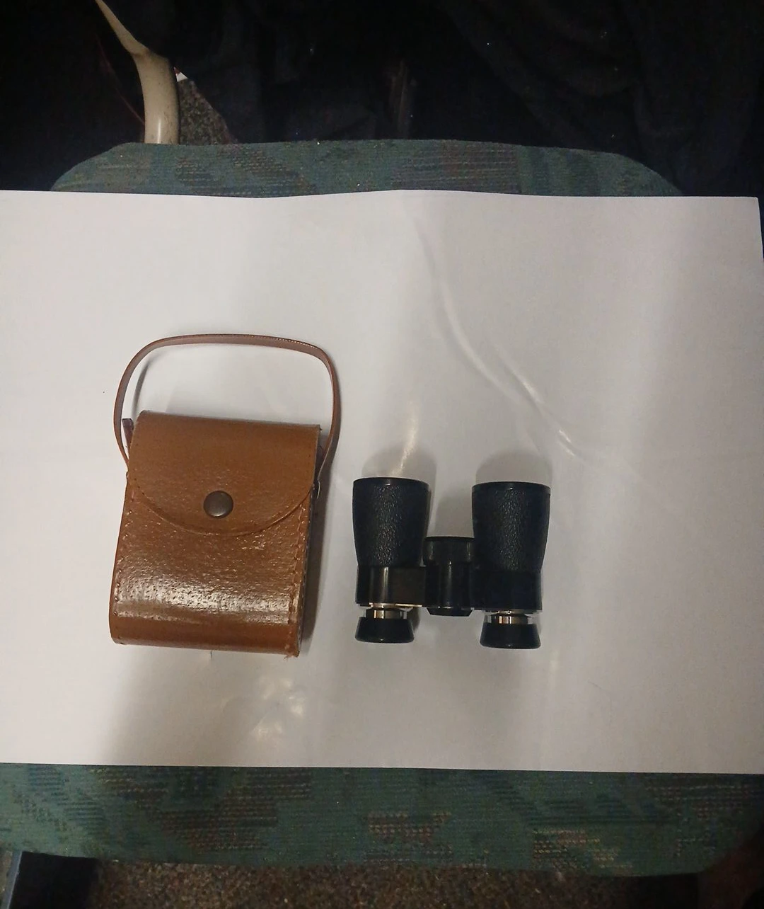Vintage Compact Binoculars with Case