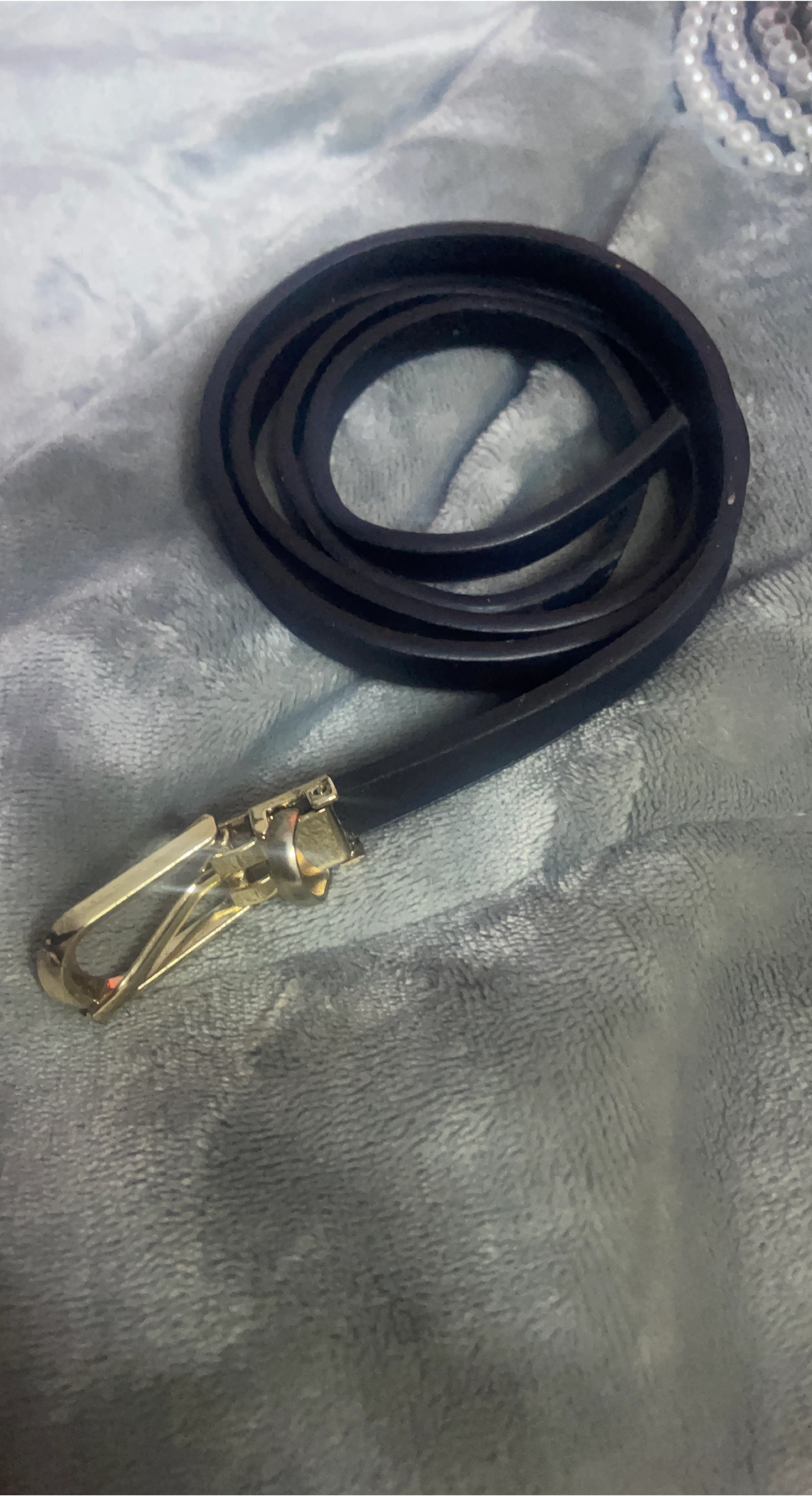 Black Belt with Gold Buckle