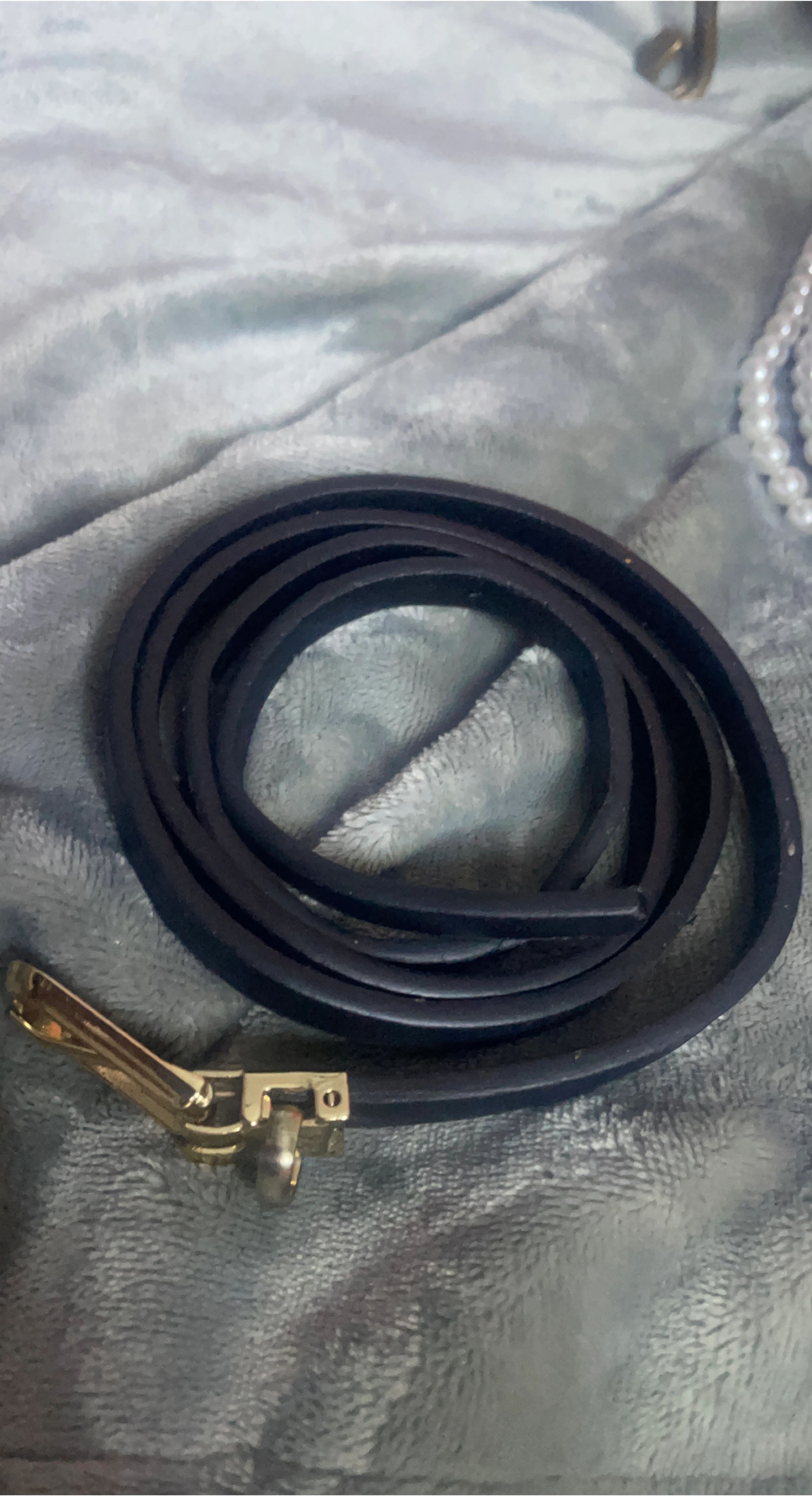 Black Belt with Gold Buckle
