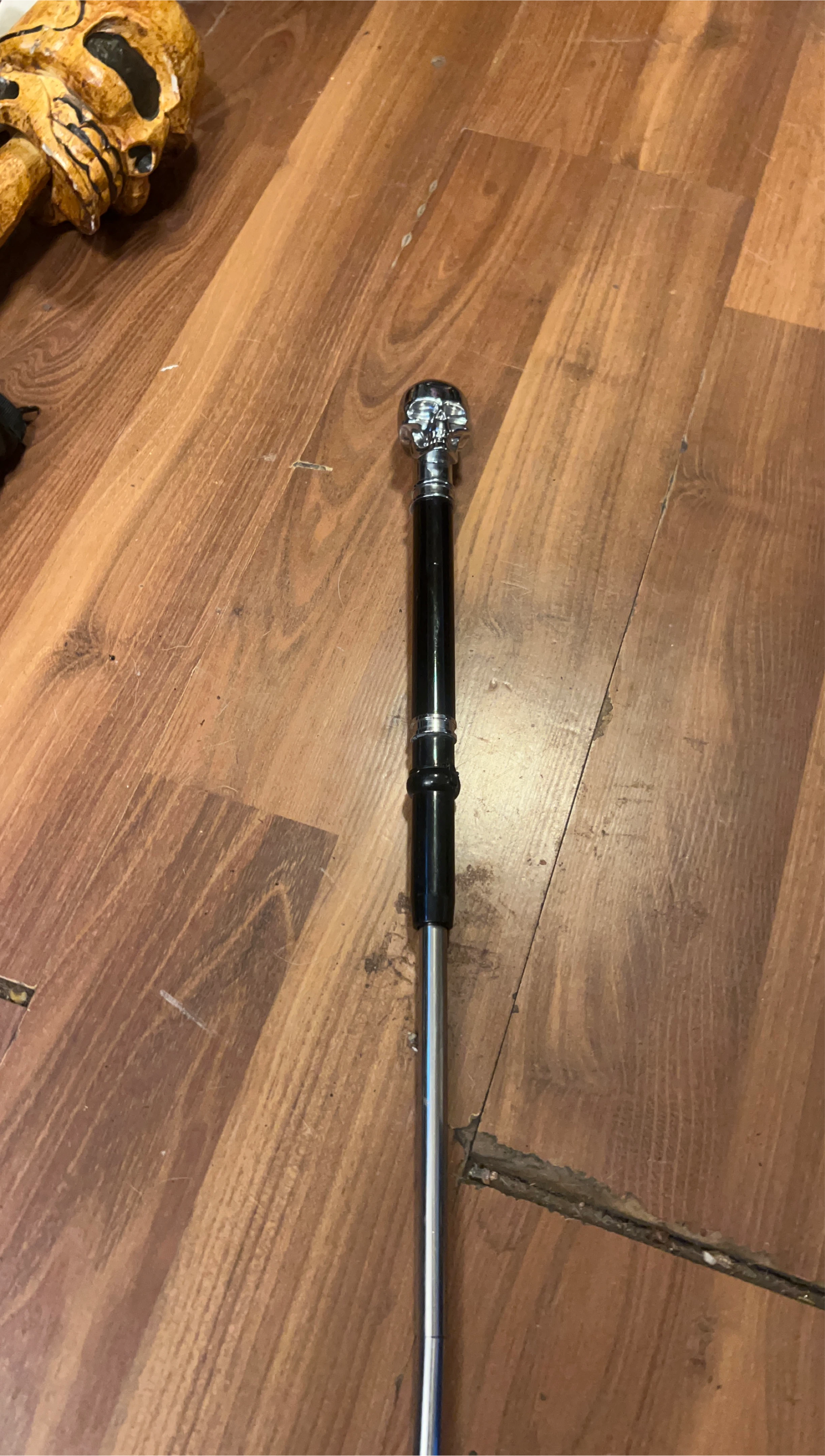 Skull Head Walking Stick thumbnail