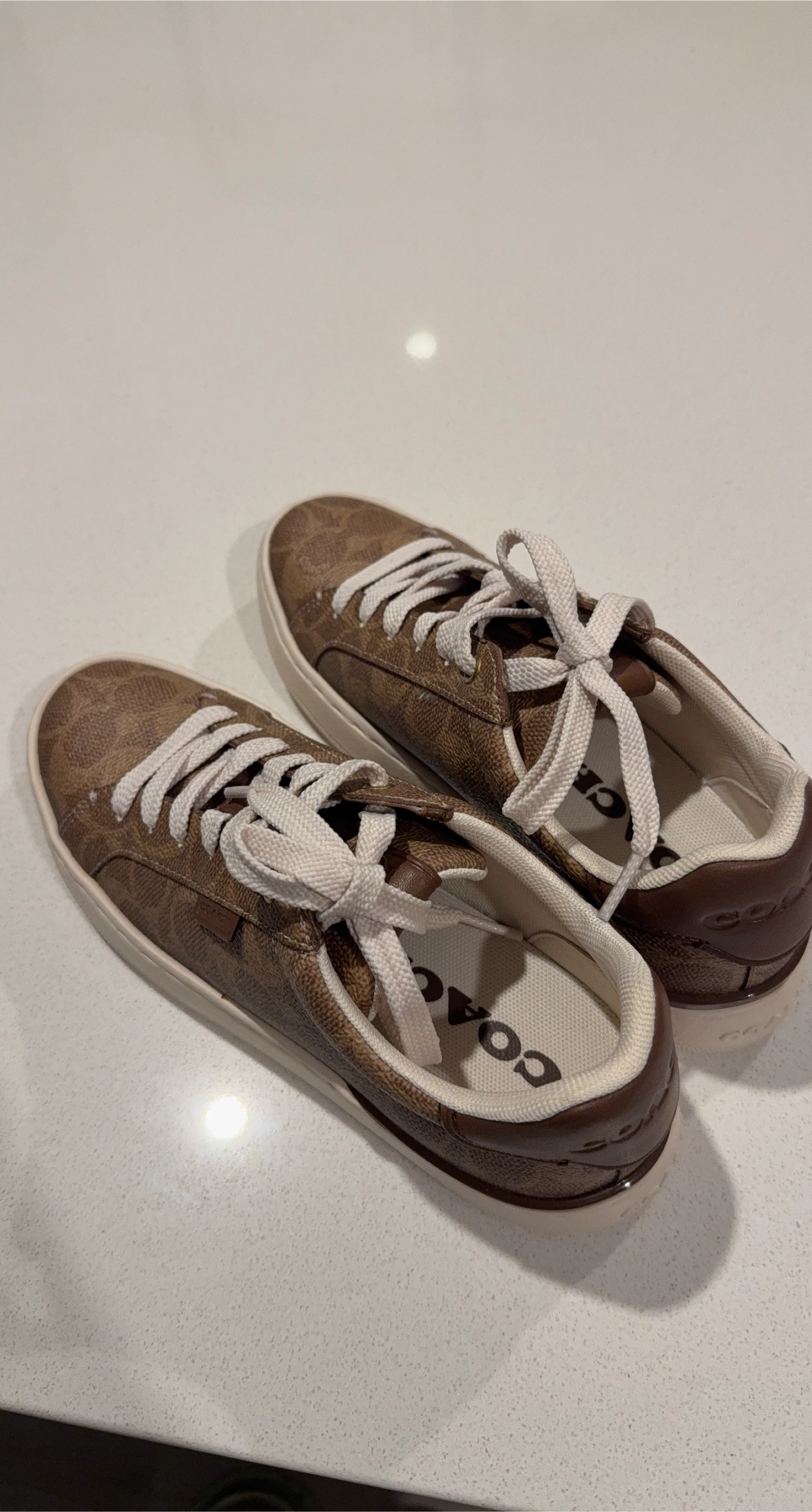 Coach Brown Sneakers