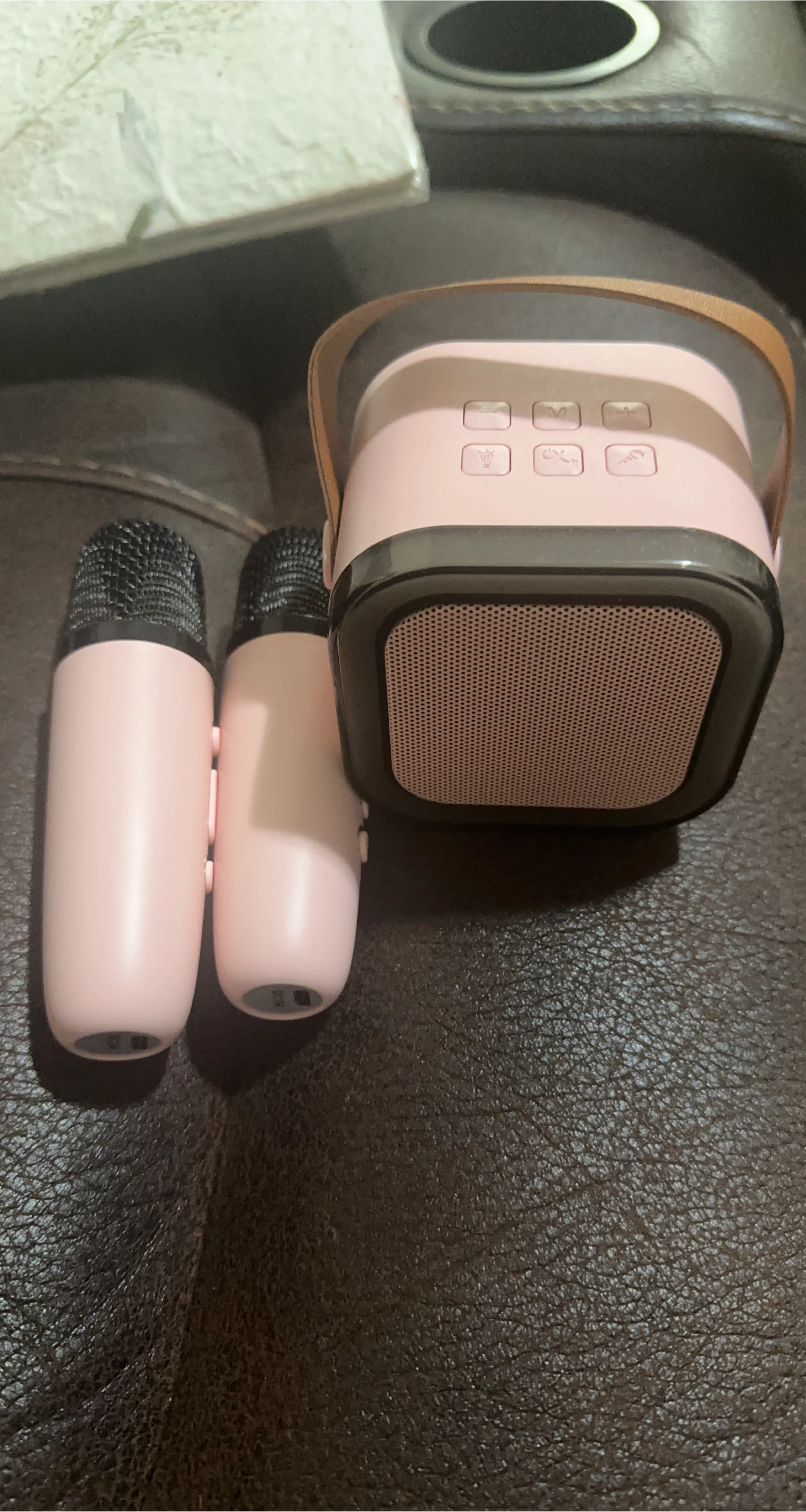 Pink Karaoke Microphone with Speaker thumbnail