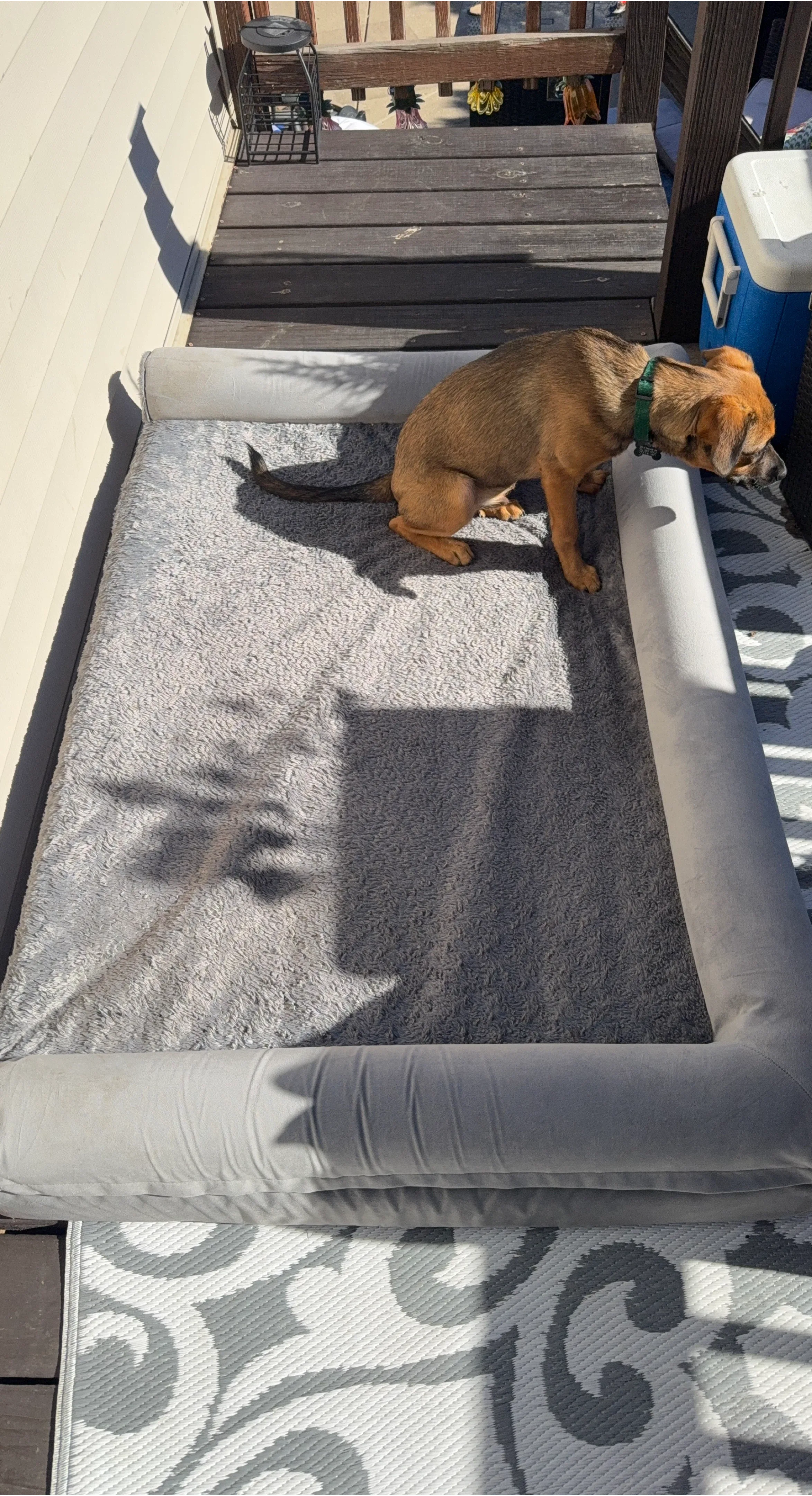 Dog bed grey