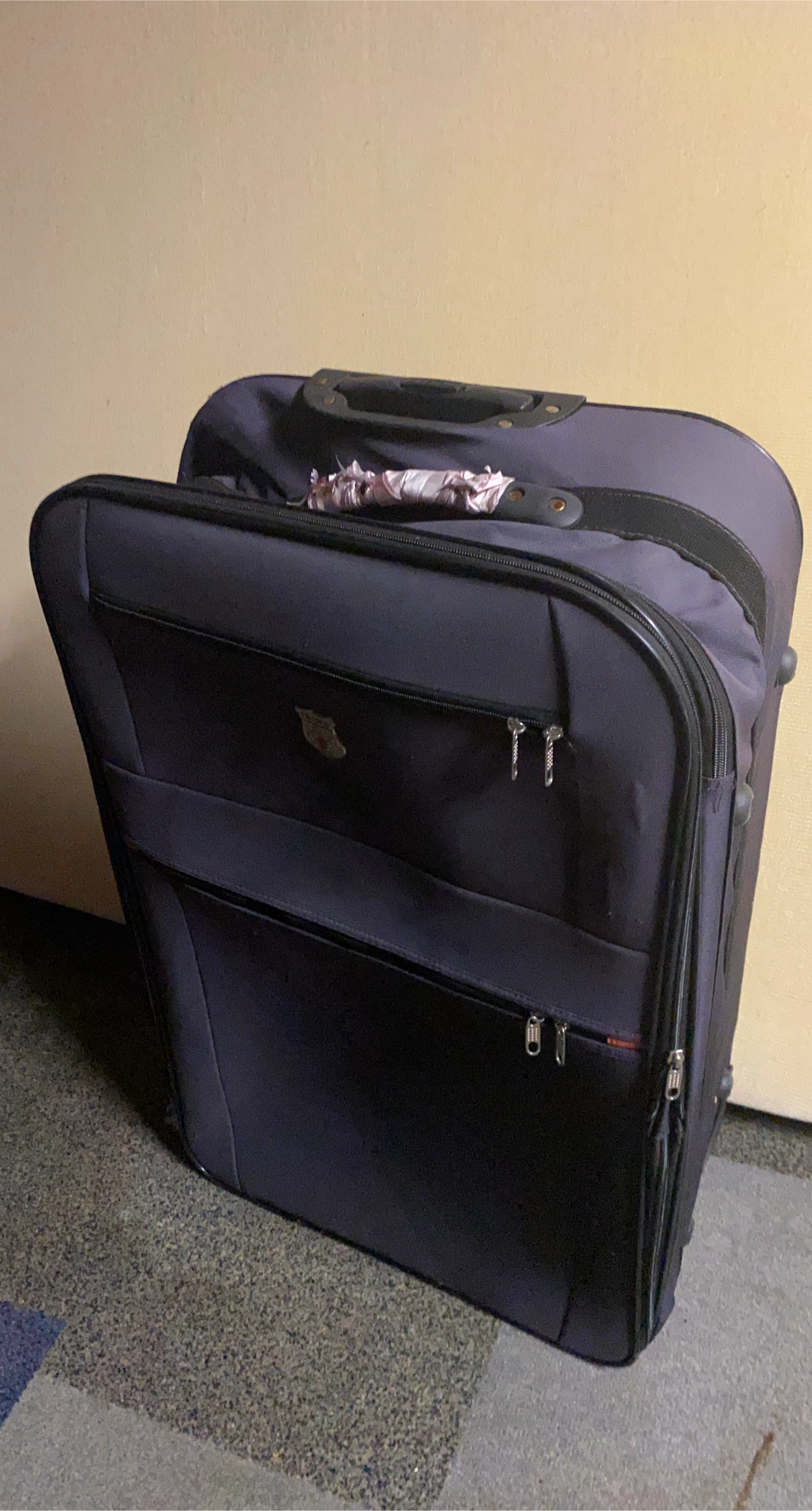 Rolling suitcase 🥕 (large) thumbnail