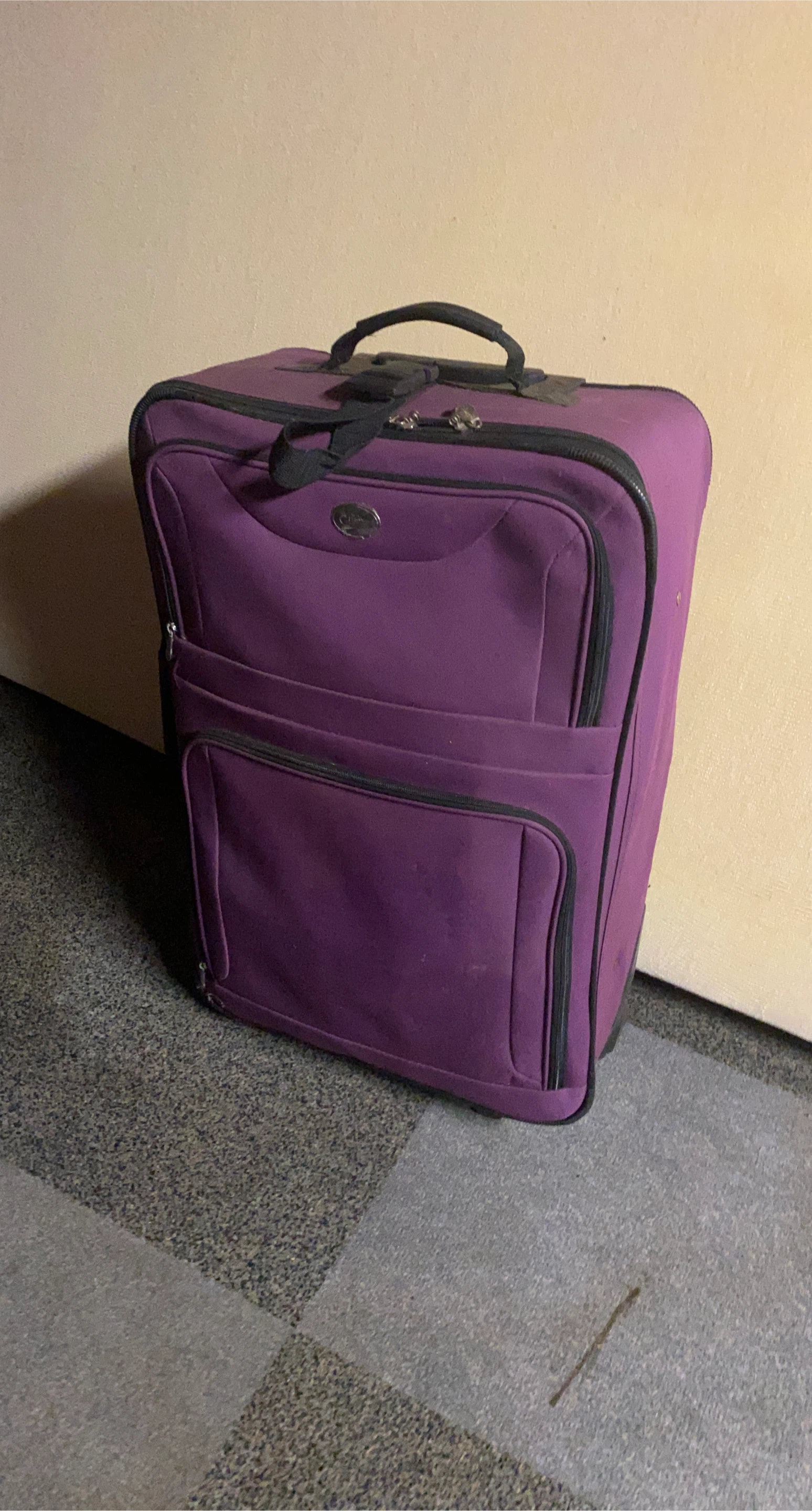 Purple Suitcase 🥕 (medium) thumbnail
