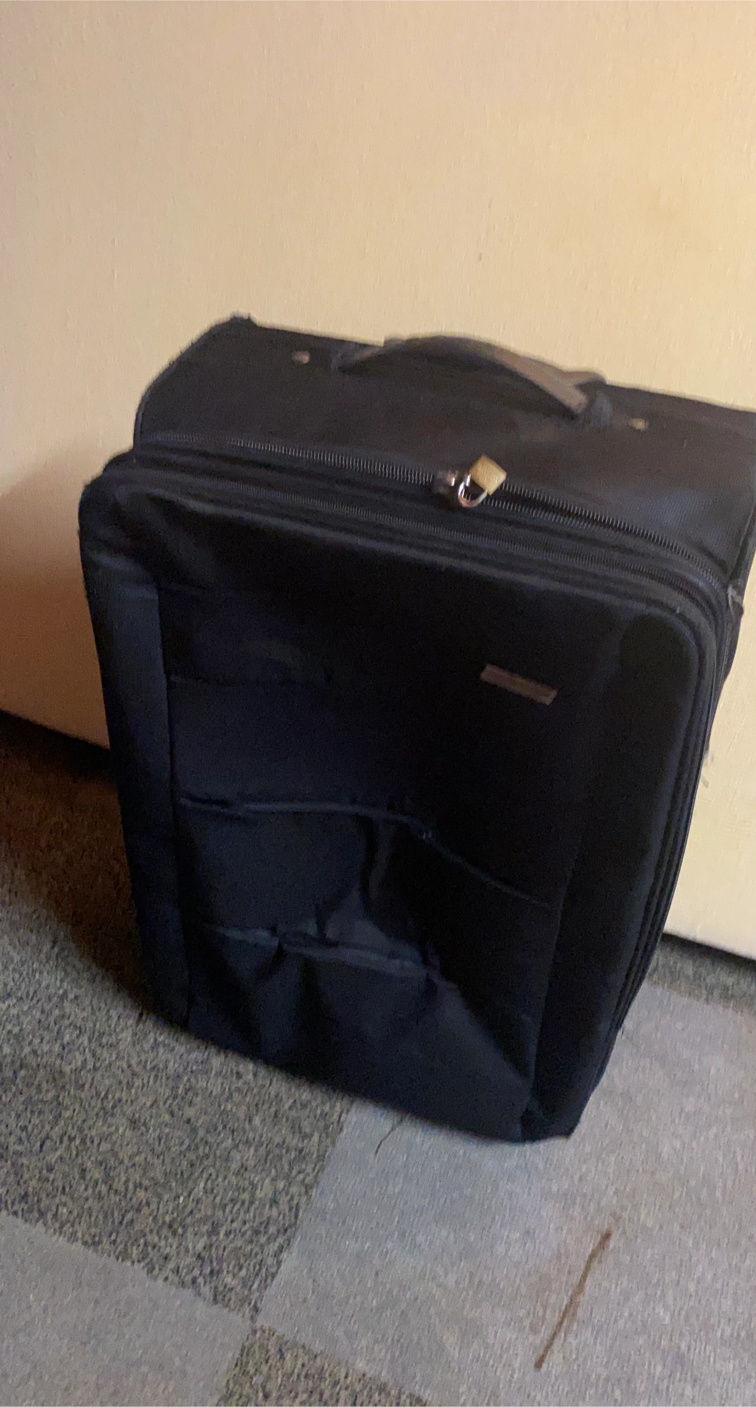 Black Rolling Suitcase 🥕 (medium) thumbnail