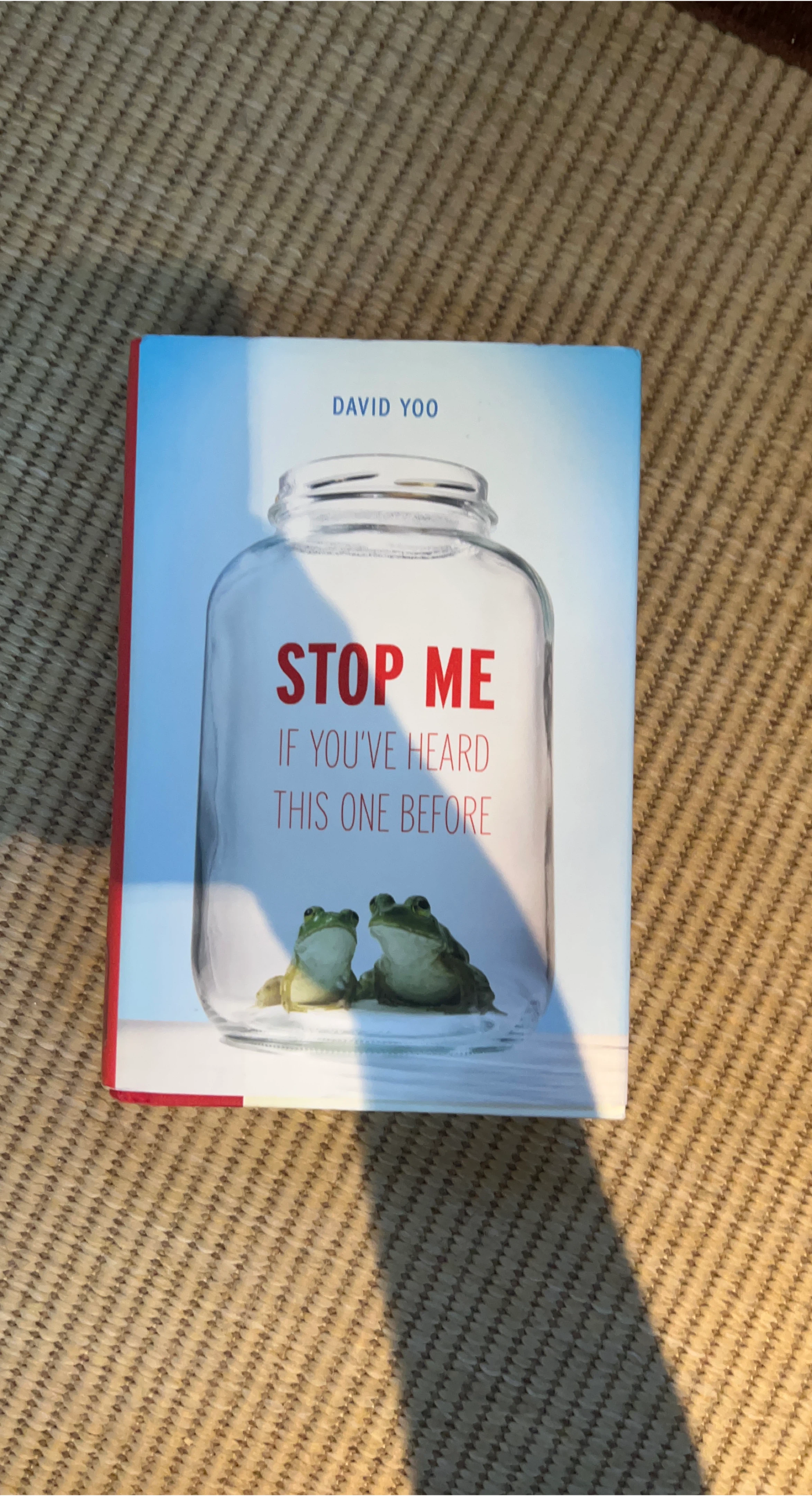 Stop Me If You've Heard This One Before by David Yoo thumbnail