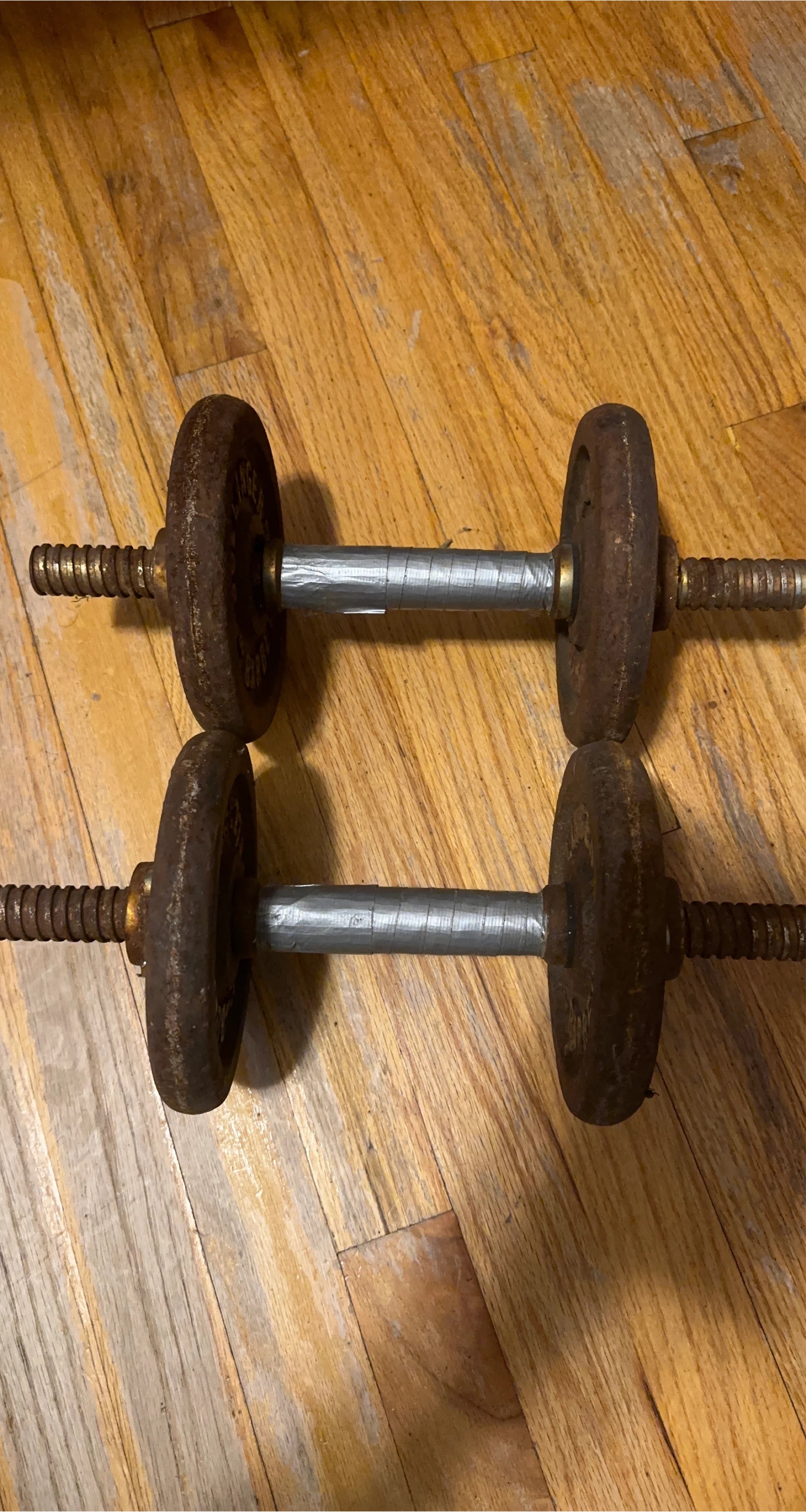 Pair of Dumbbells thumbnail