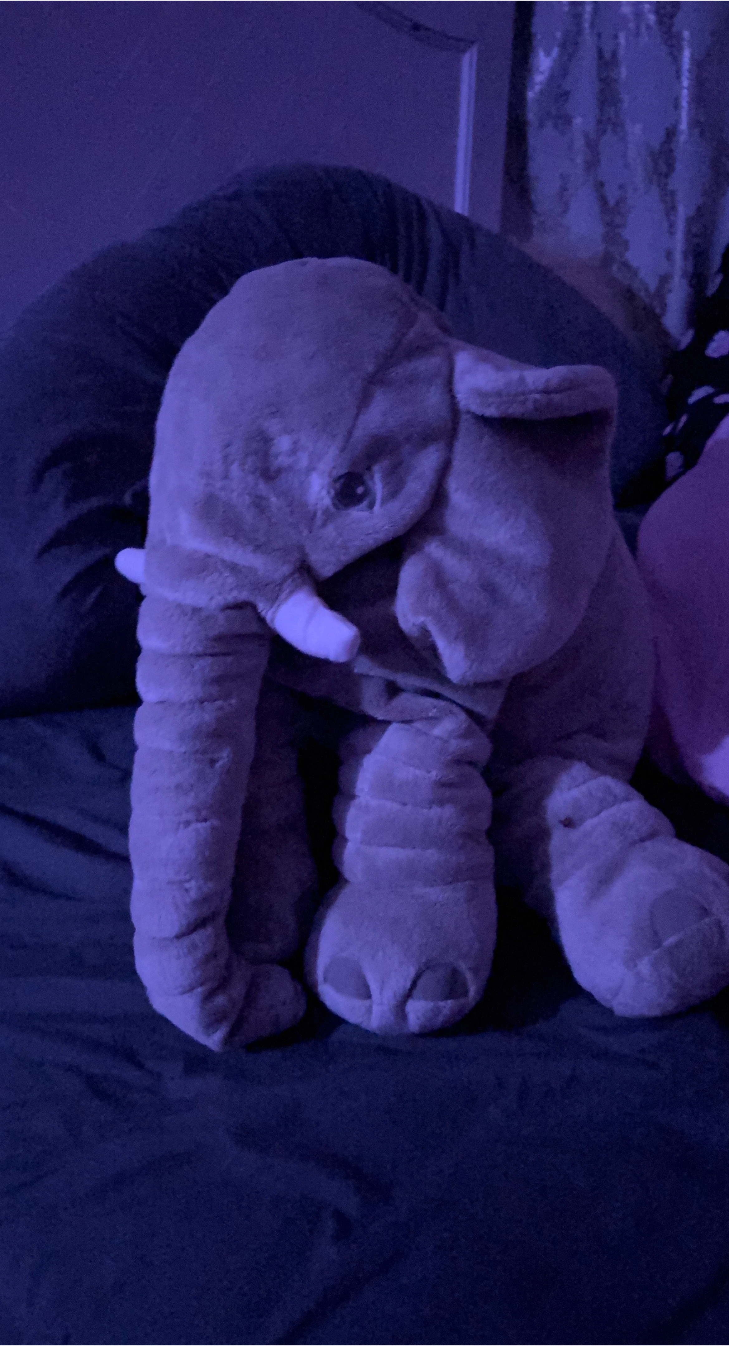 Elephant Plush Toy - Grey image indicator(1)