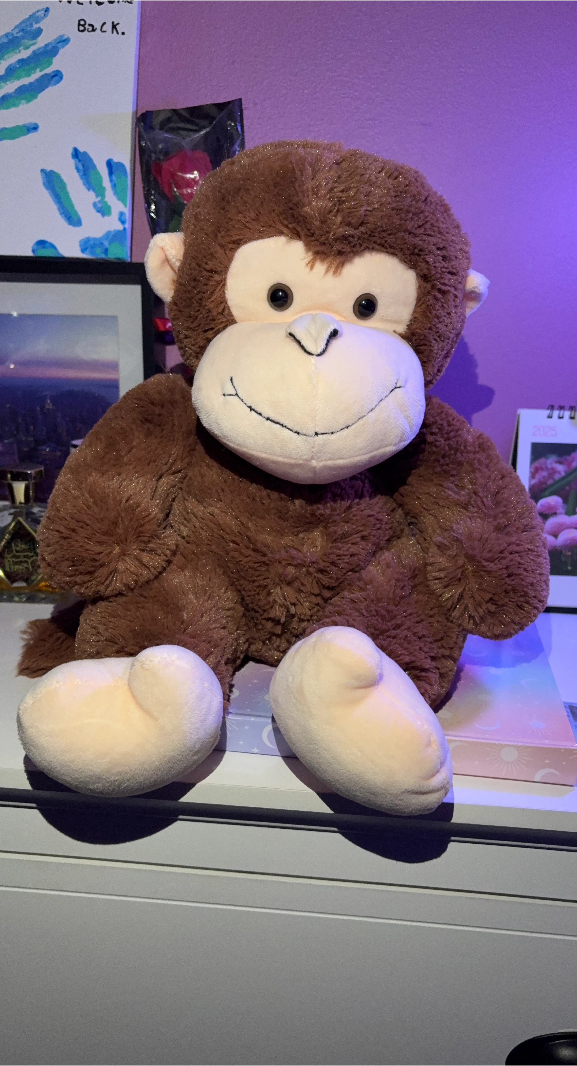 Brown Monkey Plush Toy