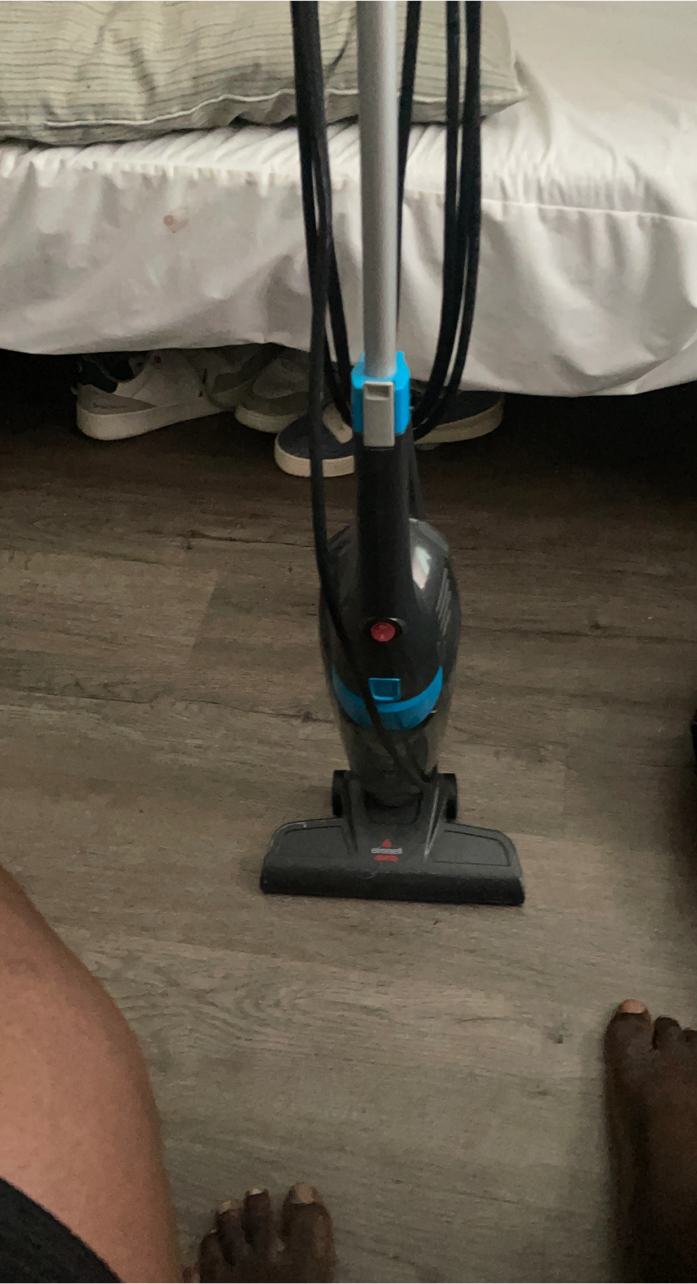 Bissell CleanView Swivel Rewind Pet Reach Vacuum