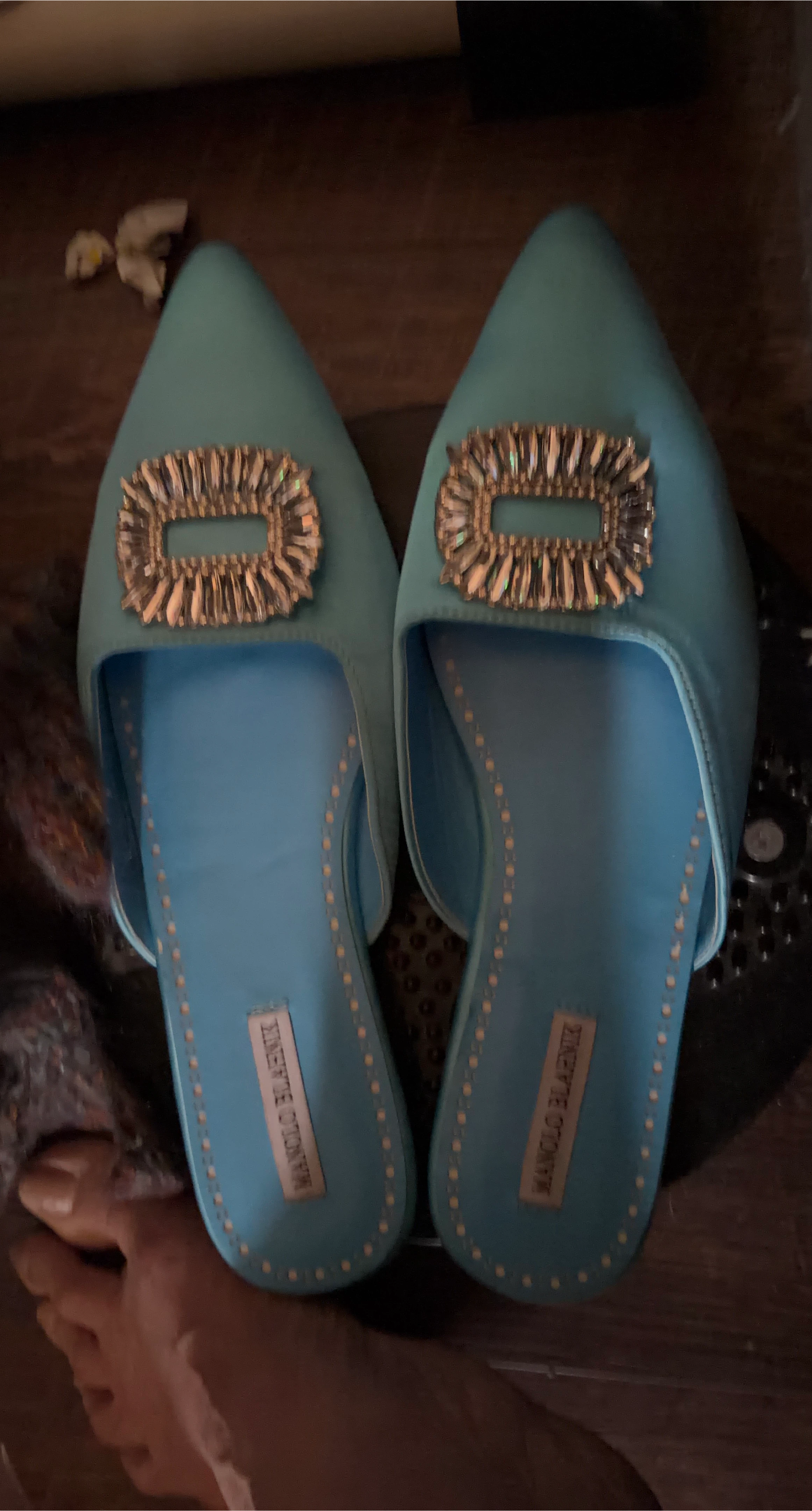 Manolo Blahnik Blue Embellished Mules